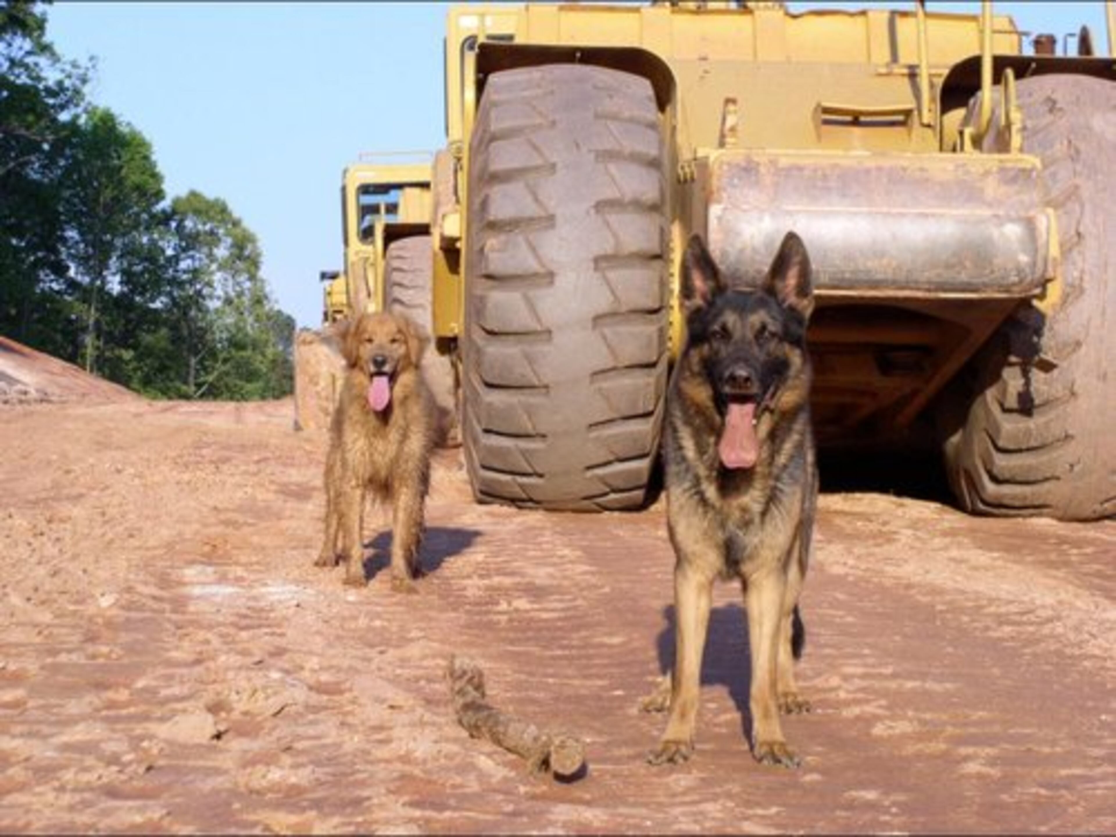 Doakie & Zach pose in front of row of captured enemy tanks.