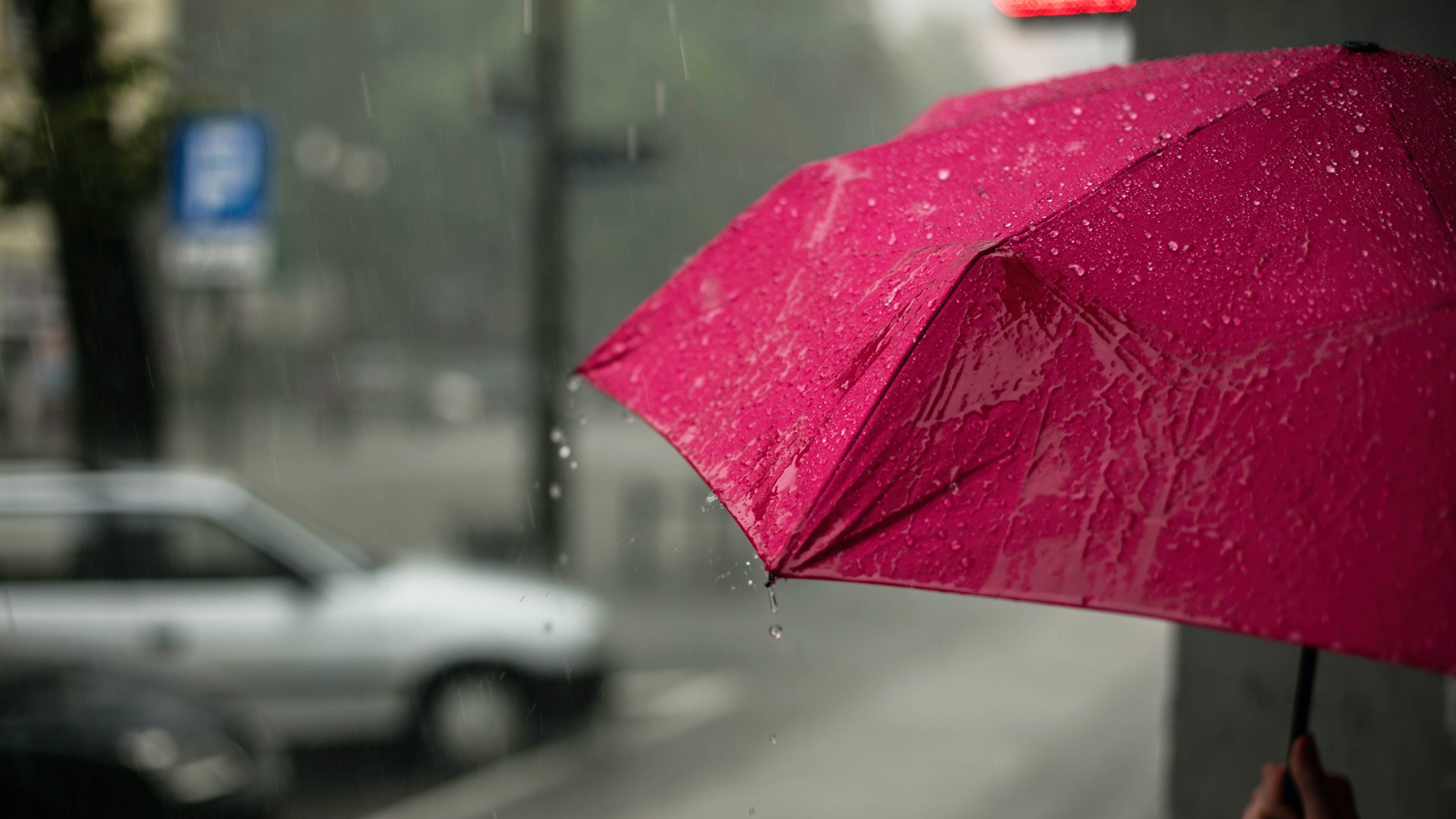 Fun things to do on a rainy day in Atlanta.