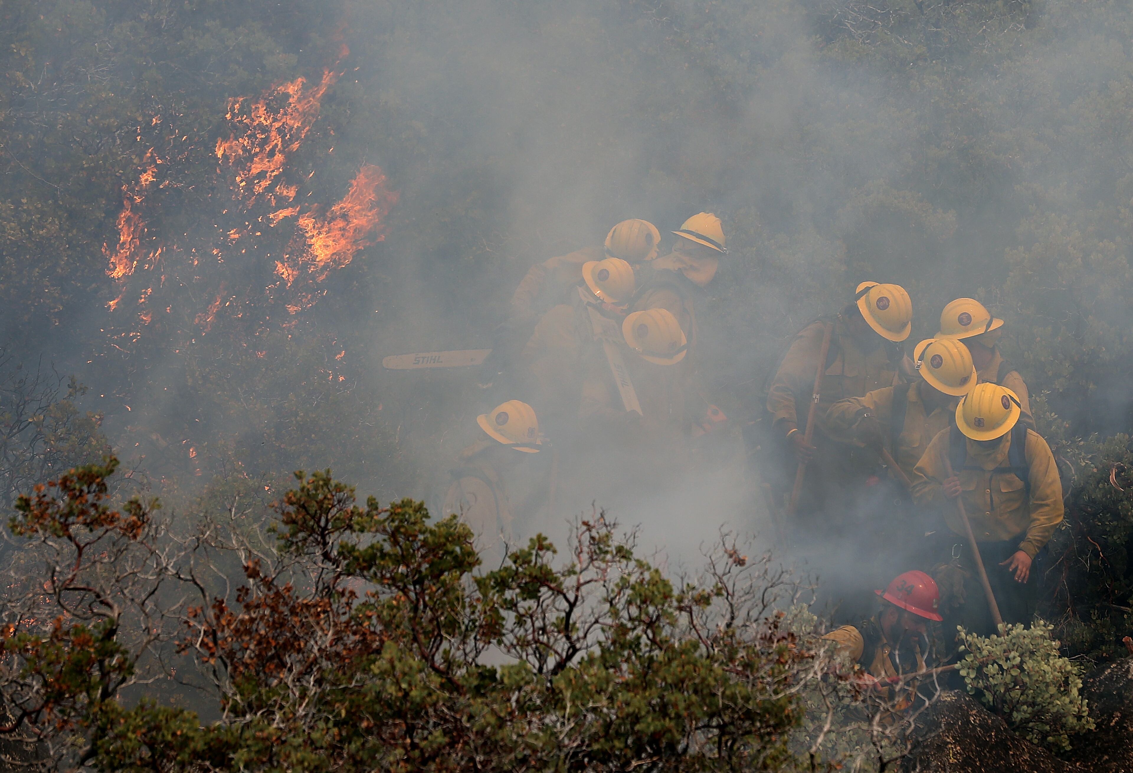 YOSEMITE NATIONAL PARK, CA - AUGUST 24: Firefighters move away from a burning manzanita bush as they battle the Rim Fire on August 24, 2013 in Yosemite National Park, California. The Rim Fire continues to burn out of control and threatens 4,500 homes outside of Yosemite National Park. Over 2,000 firefighters are battling the blaze that has entered a section of Yosemite National Park and is currently 5 percent contained. (Photo by Justin Sullivan/Getty Images)
