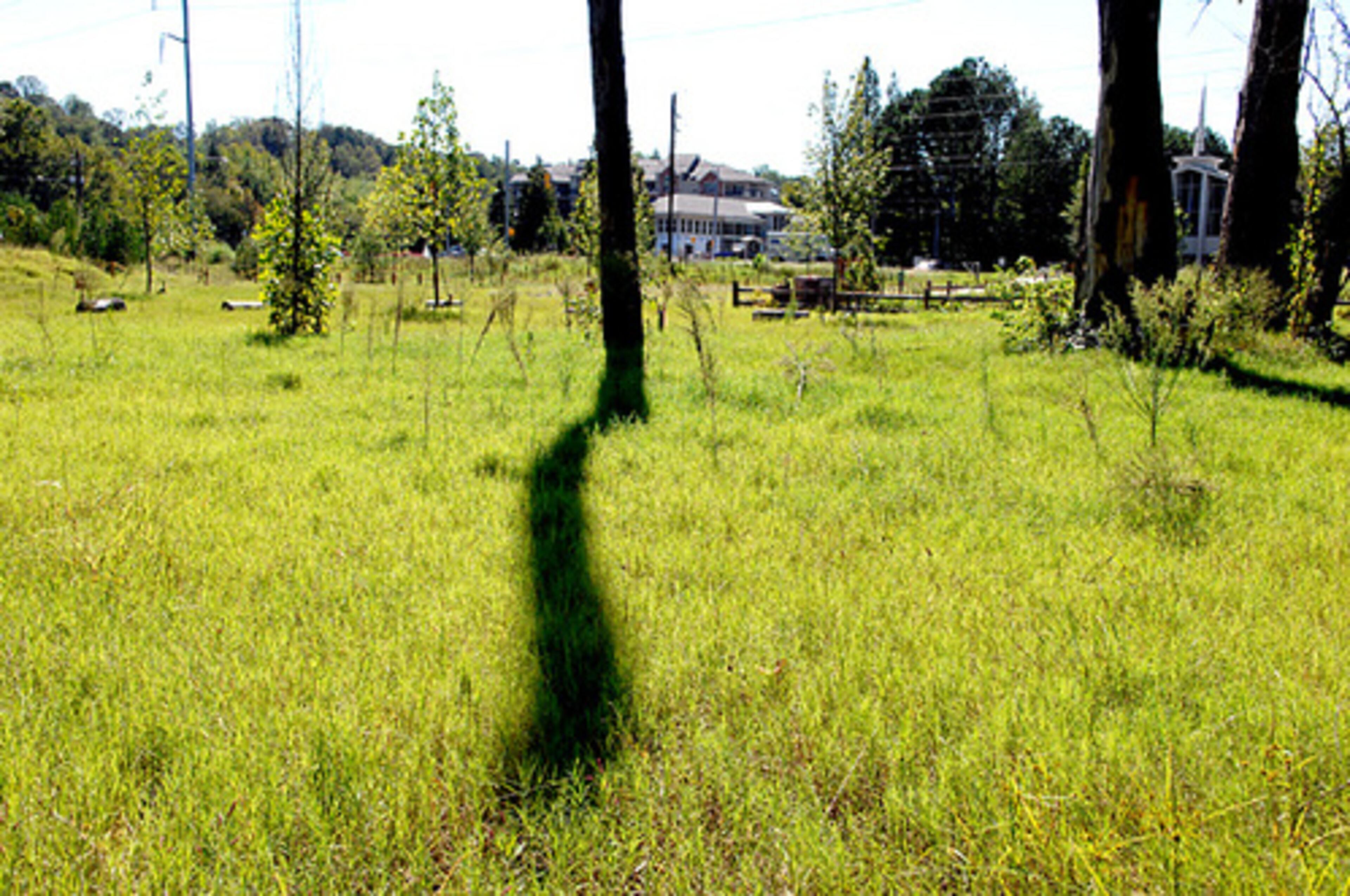 The city paid $3.75 million for the five acres to The Conservation Fund, a non-profit group that partners with government and other entities to preserve land in a natural state.