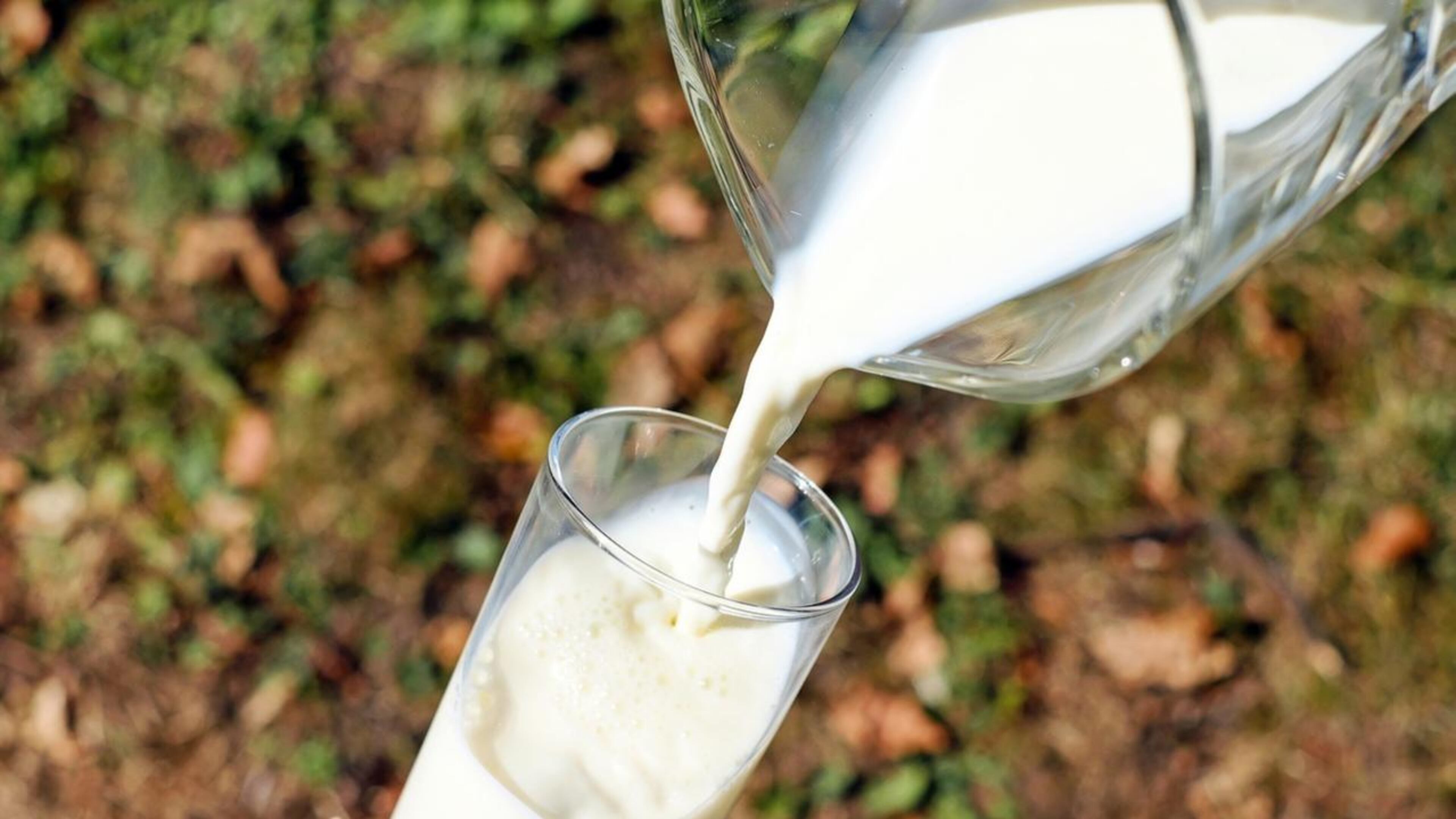 Higher intake of whole milk and yogurt was associated with lower risk of cardiovascular events and mortality, a news study concluded.