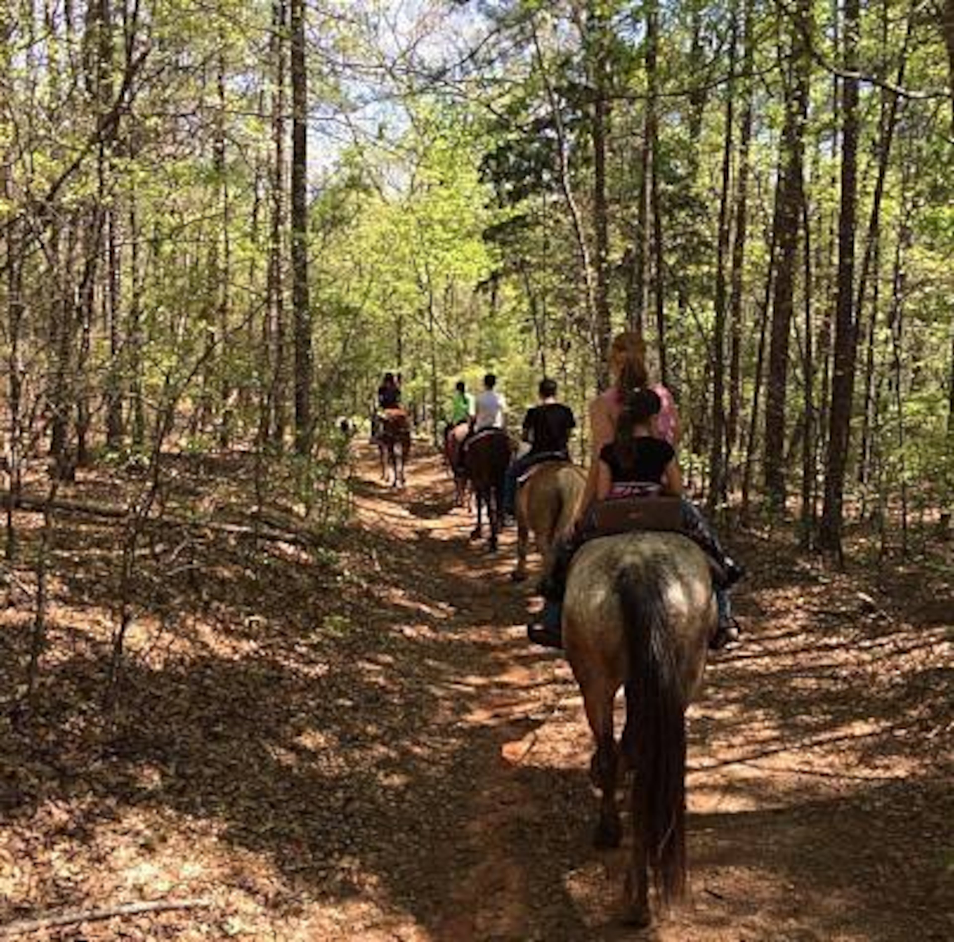 Roosevelt Riding Stables