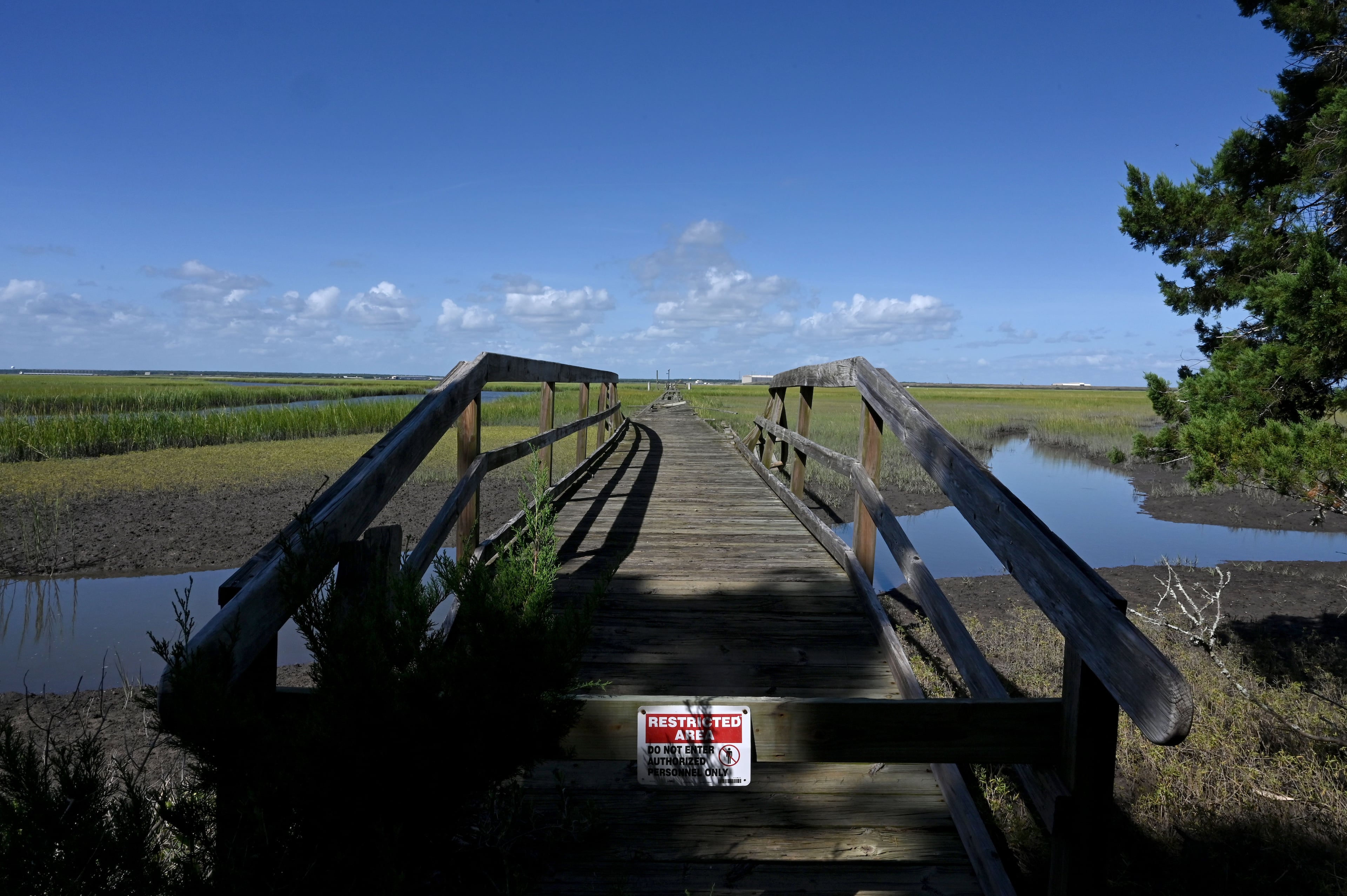 A view from at a potential land exchange site currently owned by the National Park Service on Cumberland Island. (Hyosub Shin/AJC)