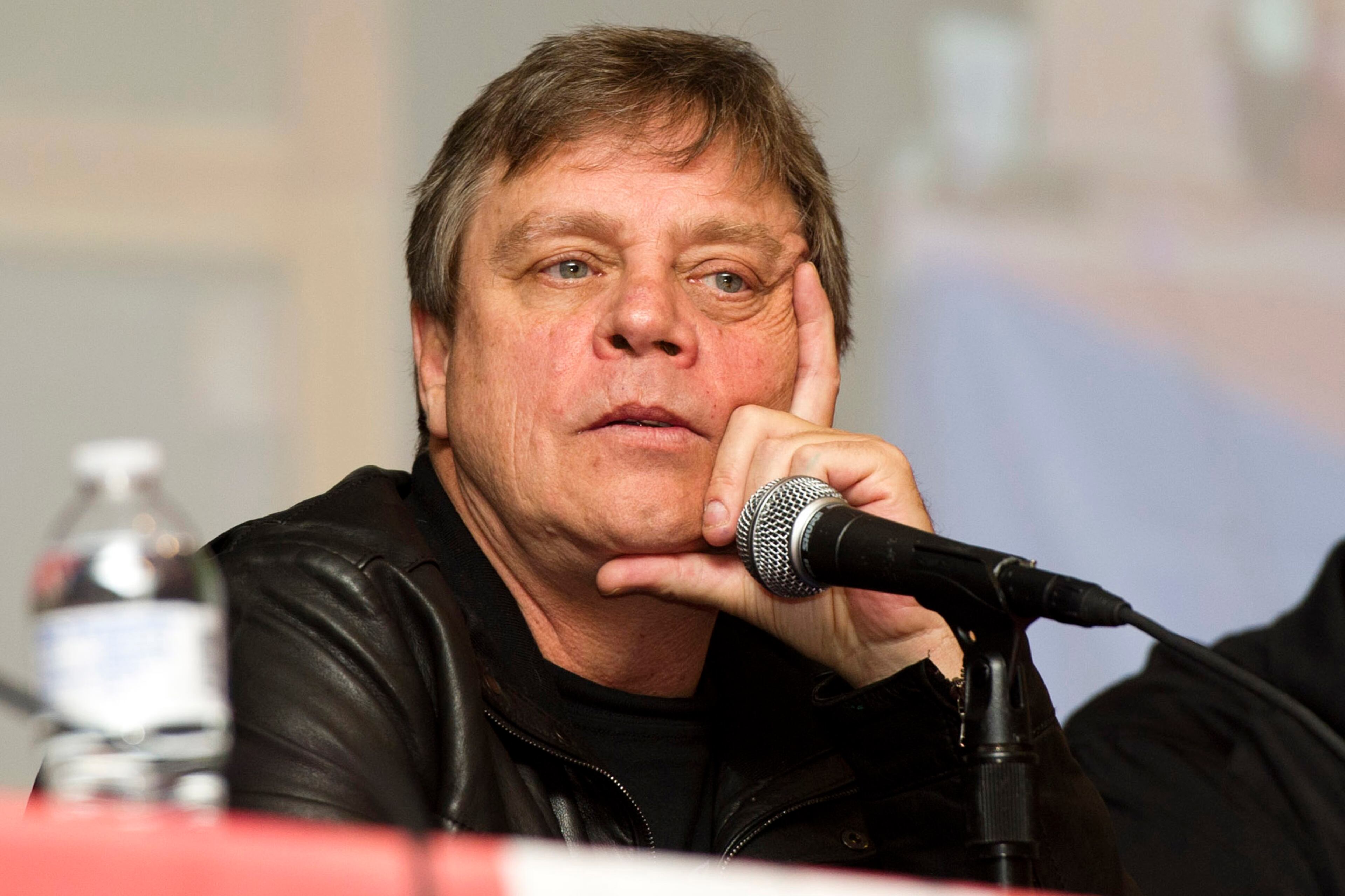 Luke Skywalker actor Mark Hamill participates in a panel discussion at the New York Comic Con fan convention in New York, Saturday, Oct. 15, 2011. The cast of 'Star Wars: Episode VII' was announced Tuesday, April 29, 2014.