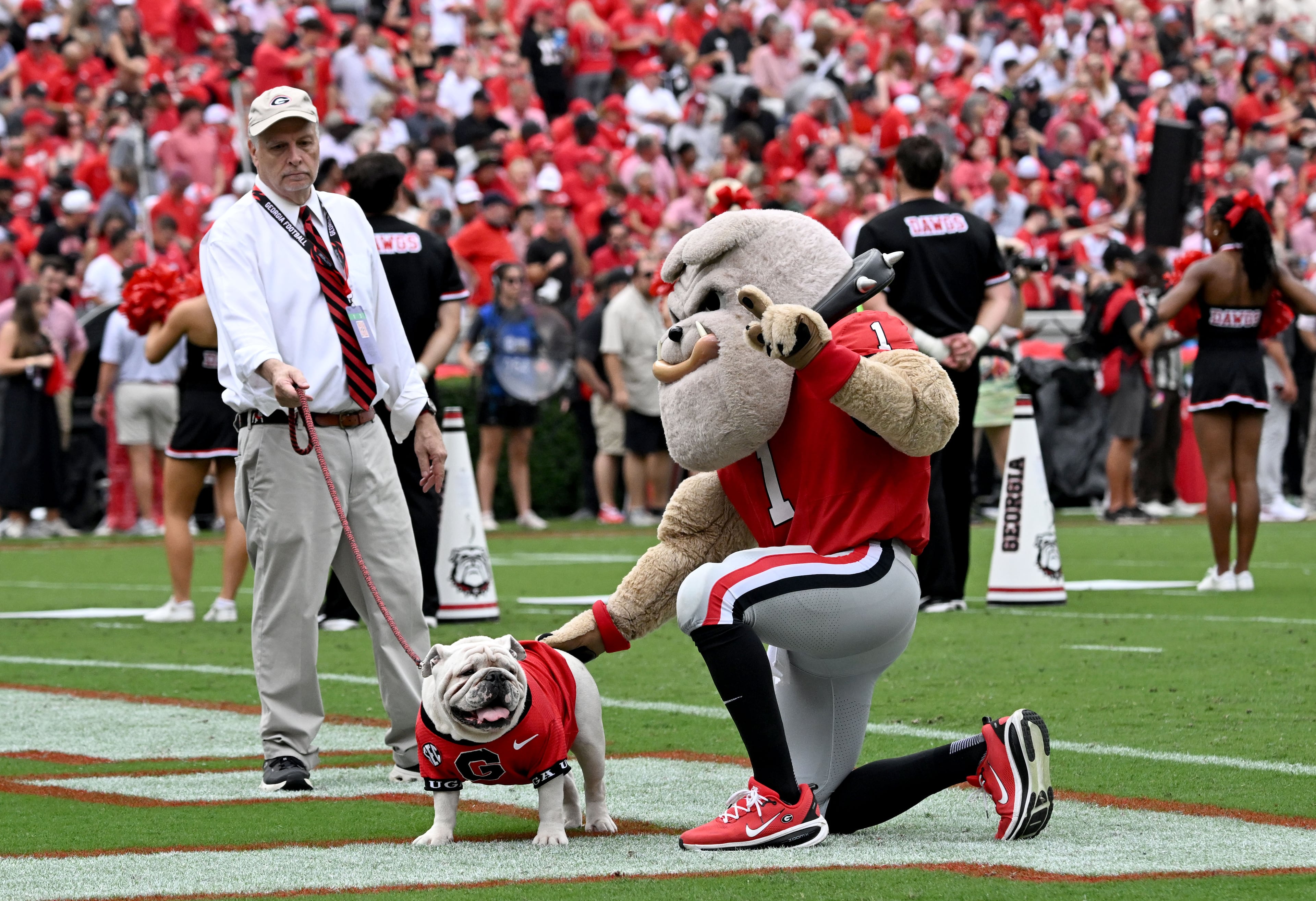 Hairy Dawg pets UGA XI, known as Boom, as Charles Seiler escorts the bulldog around the field during the first half of an NCAA football game against Vanderbilt at Sanford Stadium on Saturday, Oct. 3, 2026, in Athens. Georgia defeated Vanderbilt 38-14. (Hyosub Shin/AJC)