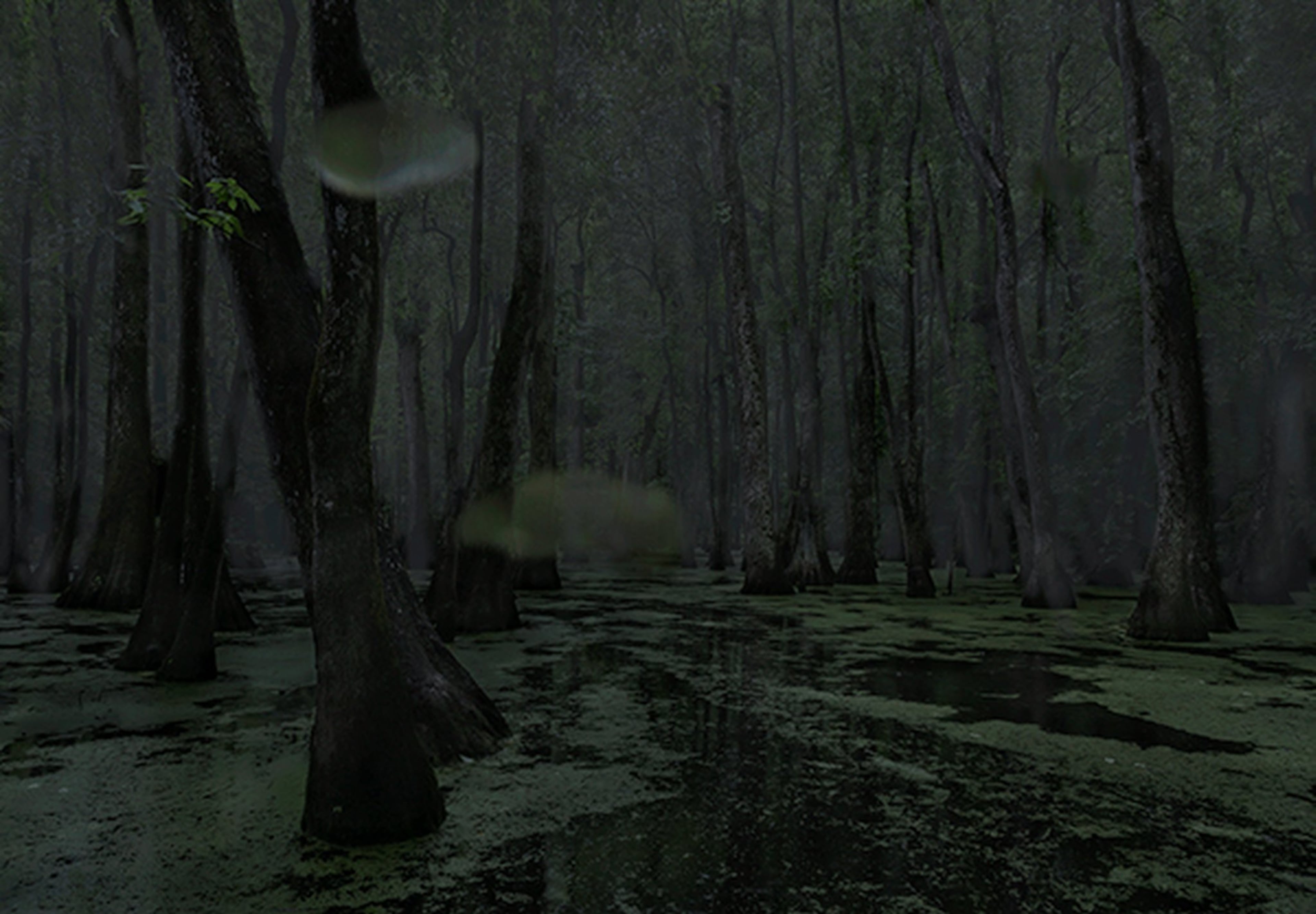 “Cypress Swamp, Middle Mississippi, 2014.” This digital chromogenic print is by Jeanine Michna-Bales, whose exhibition “Through Darkness to Light: Seeking Freedom Along the Underground Railroad” is on view at Arnika Dawkins Gallery in College Park.