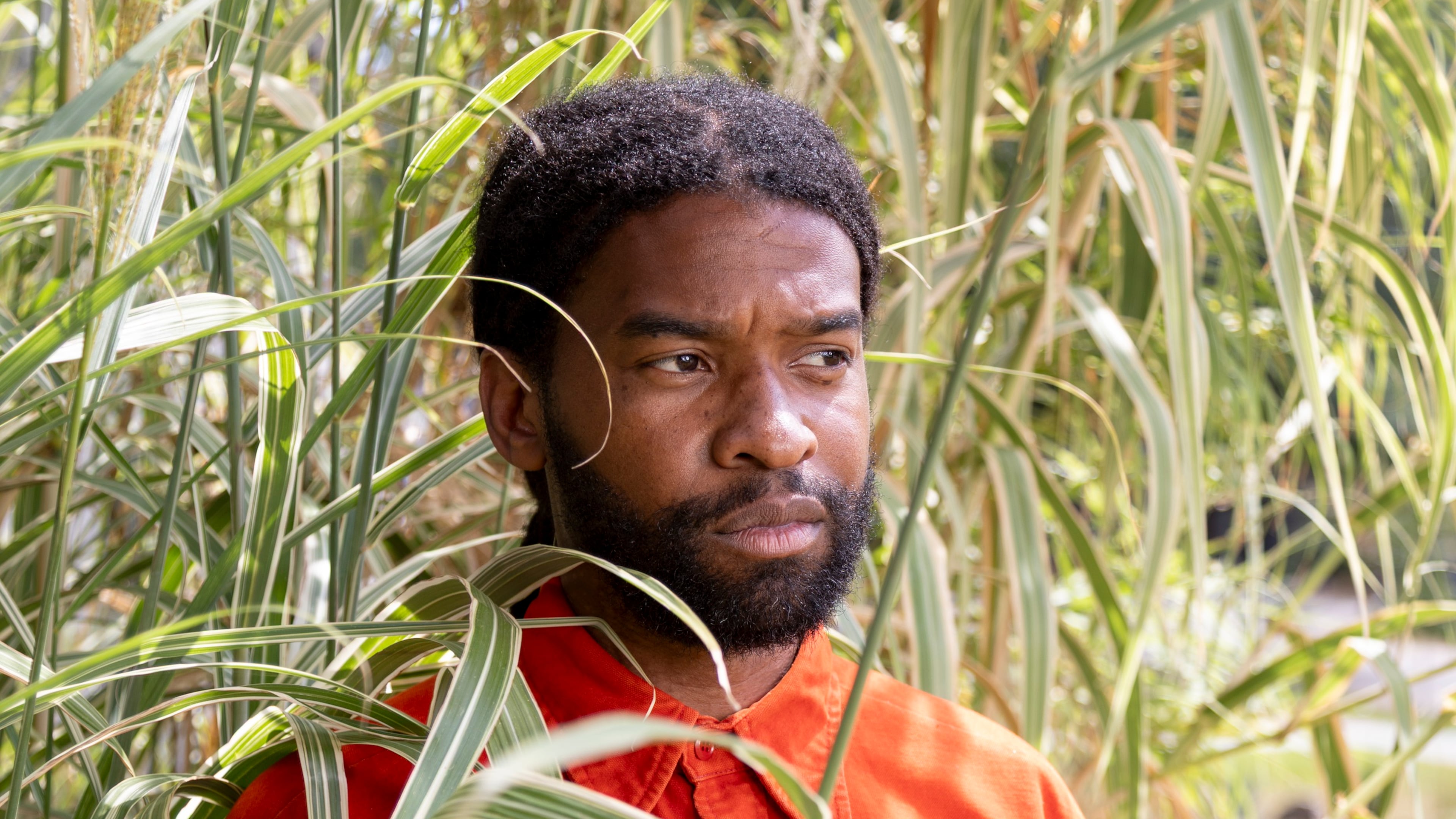 Atlanta artist and plantsman Eric Mack is featured in a current Whitespace gallery exhibition where his love of artmaking and gardening merge. (Patrick Heagney)