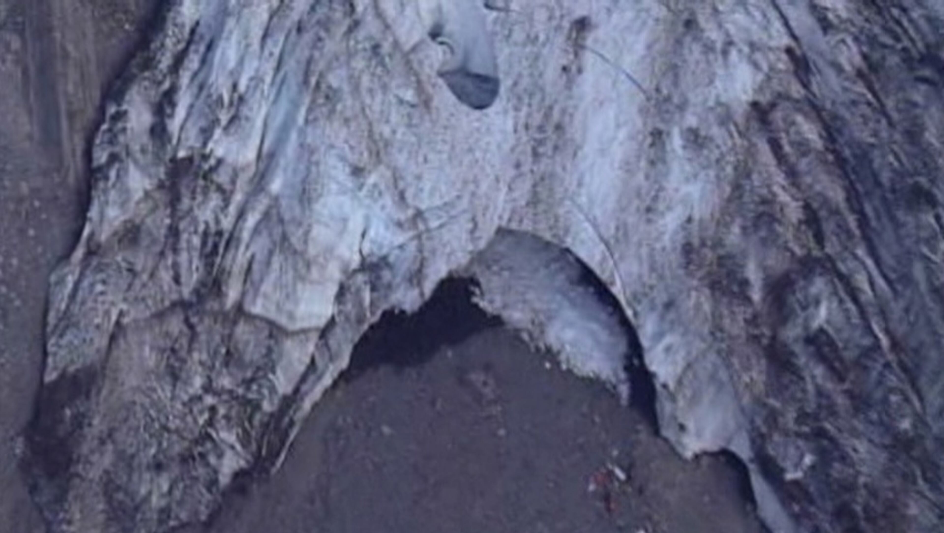 Several people were injured monday in a partial collapse of the Big Four Ice Caves. Click here for more details on the story.