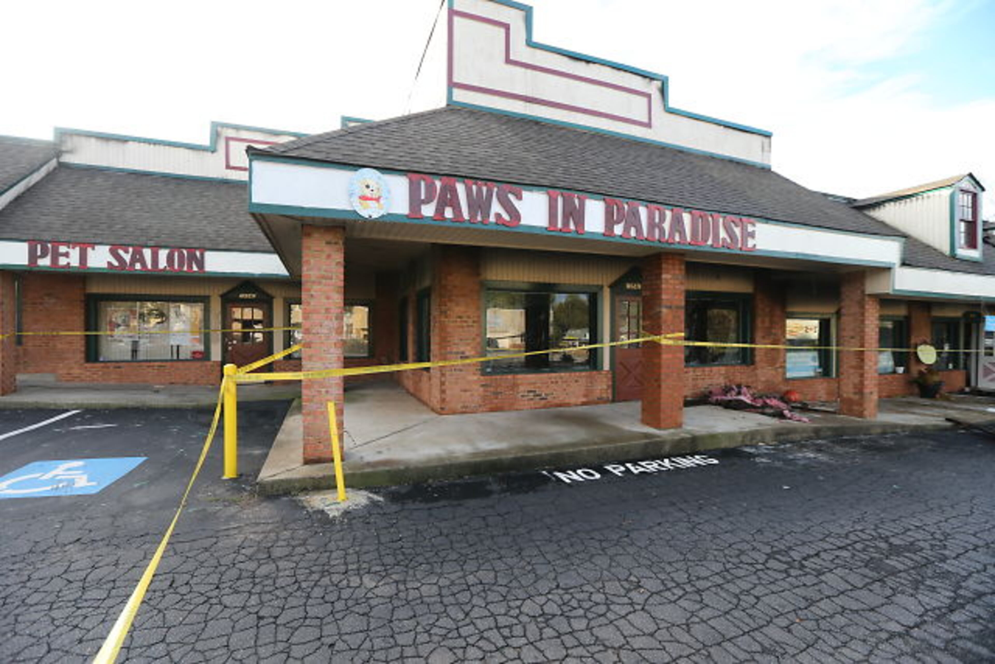 Seventeen dogs at a pet spa survived a DeKalb strip mall fire, but a Cocker Spaniel and a Shih Tzu died from smoke inhalation. JOHN SPINK / JSPINK@AJC.COM