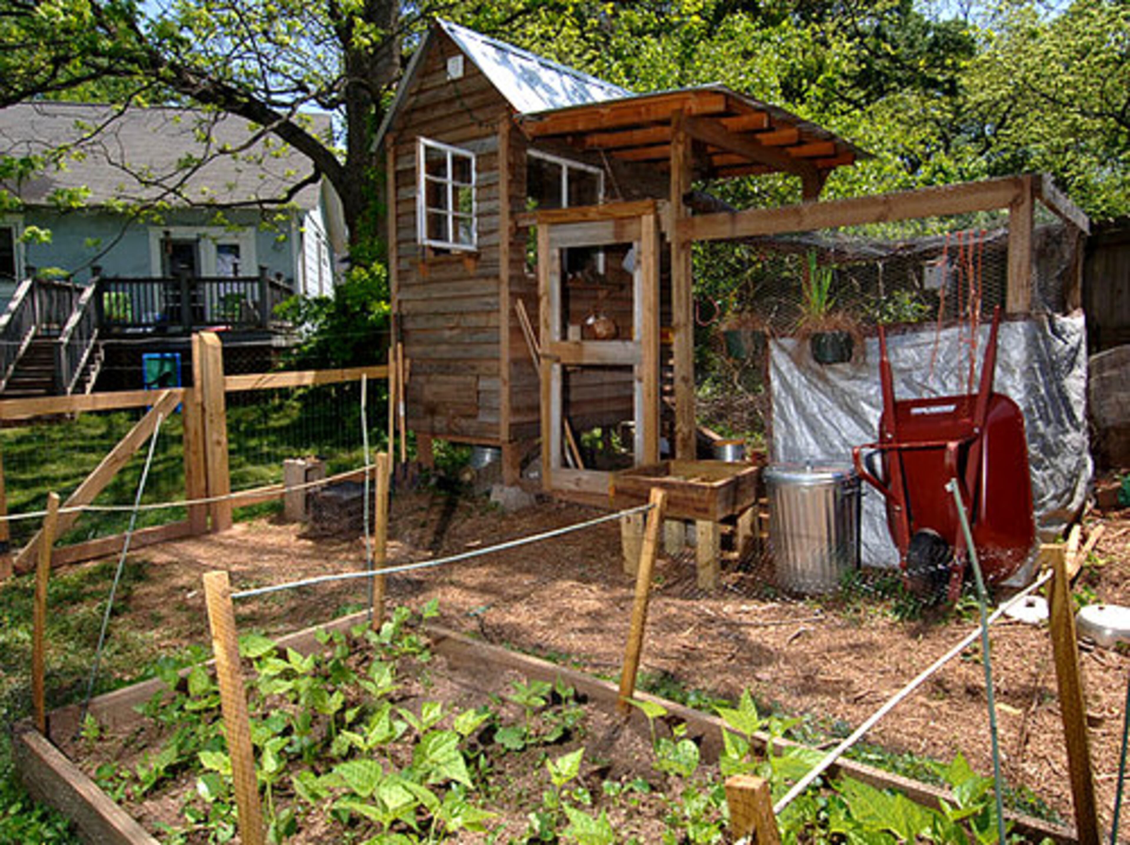 This Decatur coop offers its residents shelter from the sun and a chance to amble around the vegetable garden.