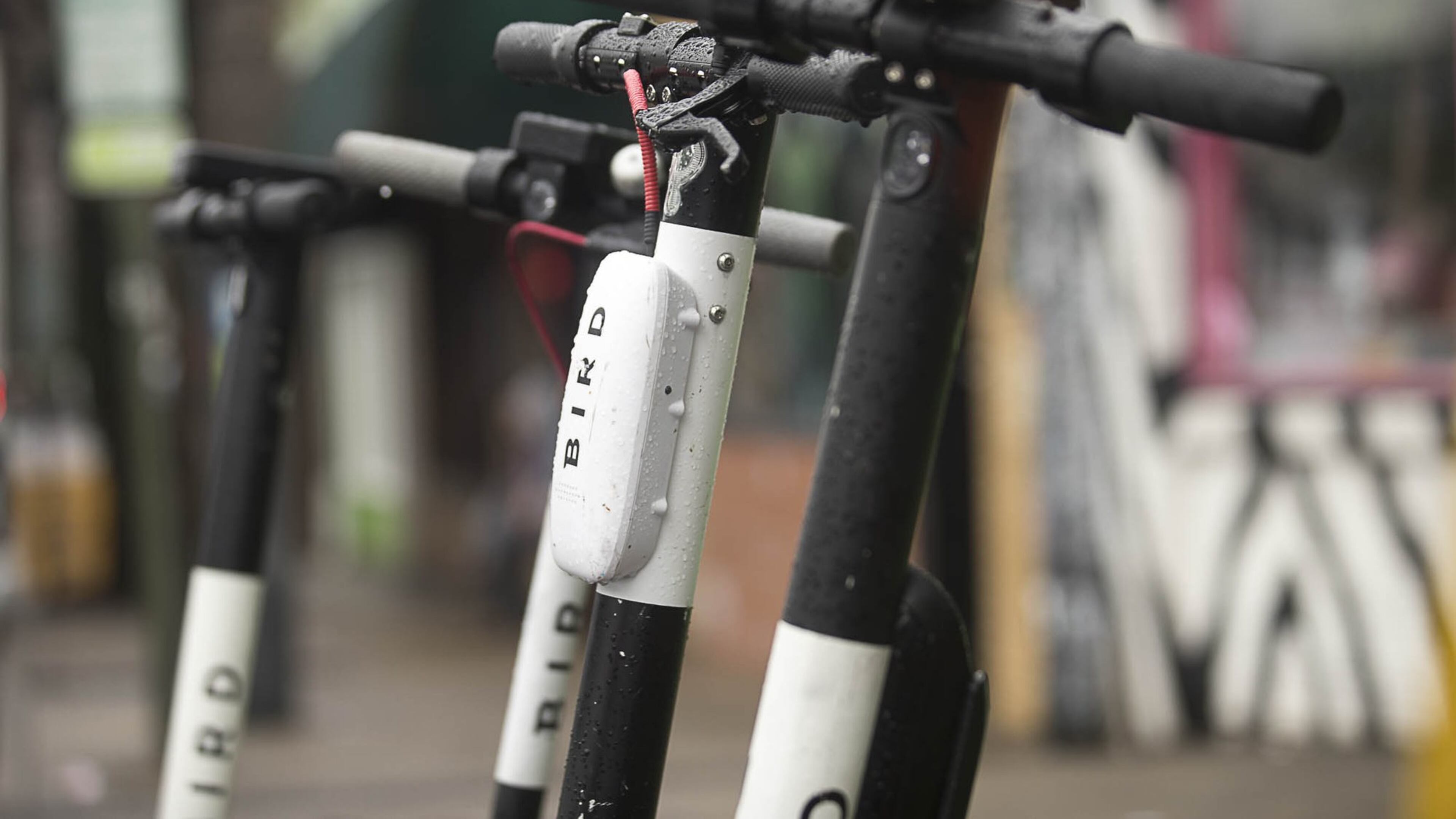 Bird Scooters sit parked on the sidewalk of Euclid Avenue in Atlanta’s Little Five Points community, Friday, Jan. 4, 2019.