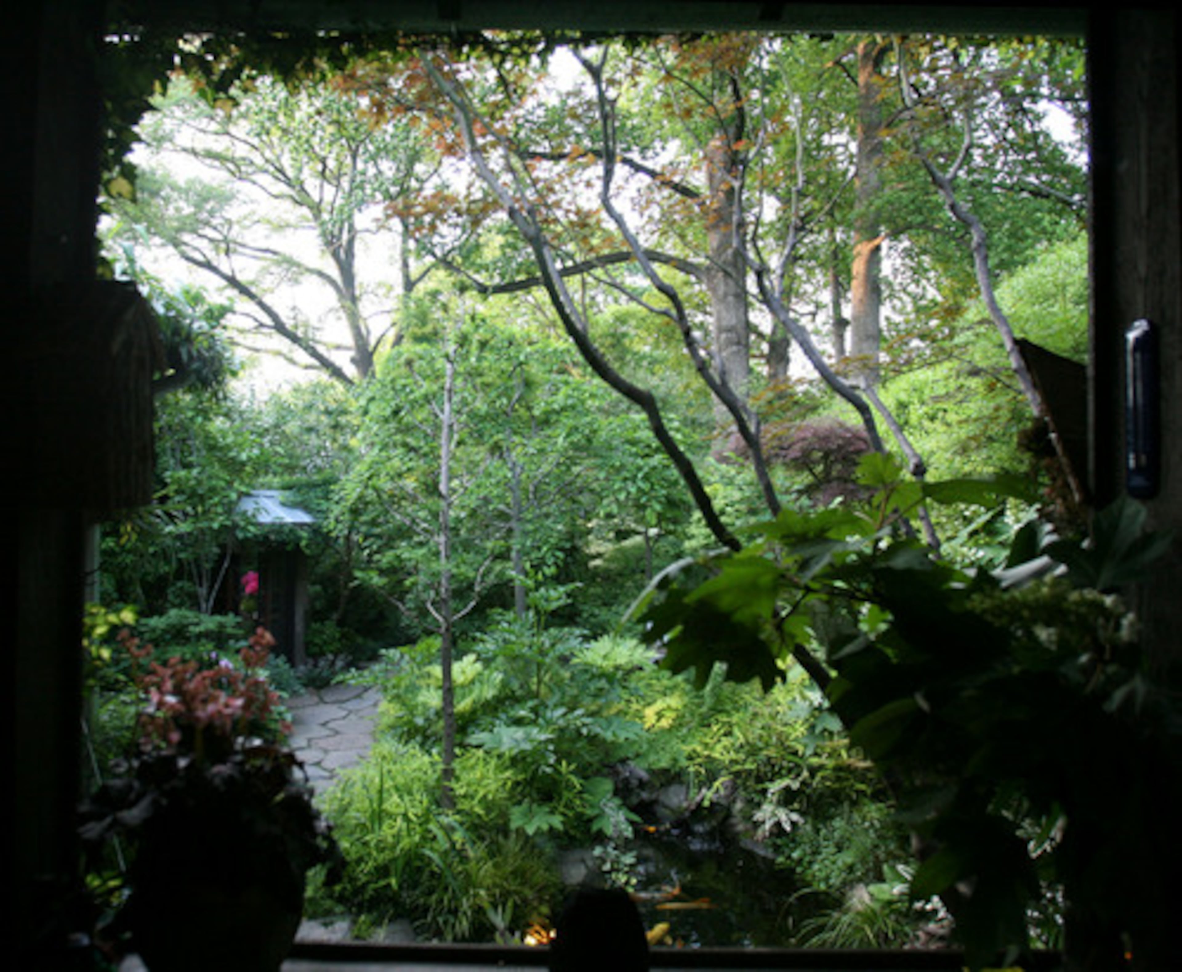 This view from the back porch into the shade garden is Ellis' favorite. "Part of a garden is walking into it and forgetting the space outside of it," he said. "My efforts were to make it otherworldly."