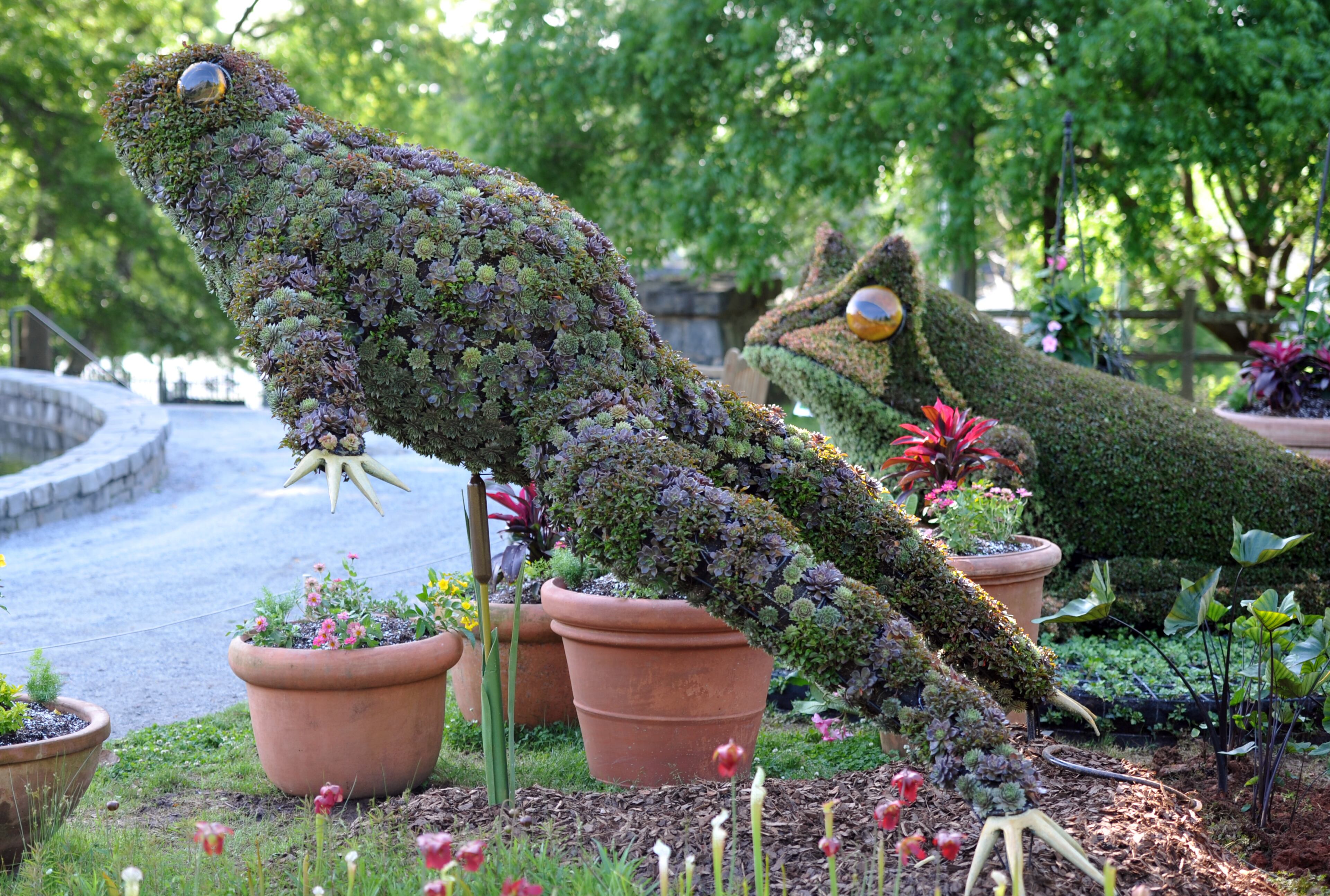 Two of the four frogs that have joined "Imaginary Worlds" at the Atlanta Botanical Garden, on Thursday, May 1, 2014. HYOSUB SHIN / HSHIN@AJC.COM