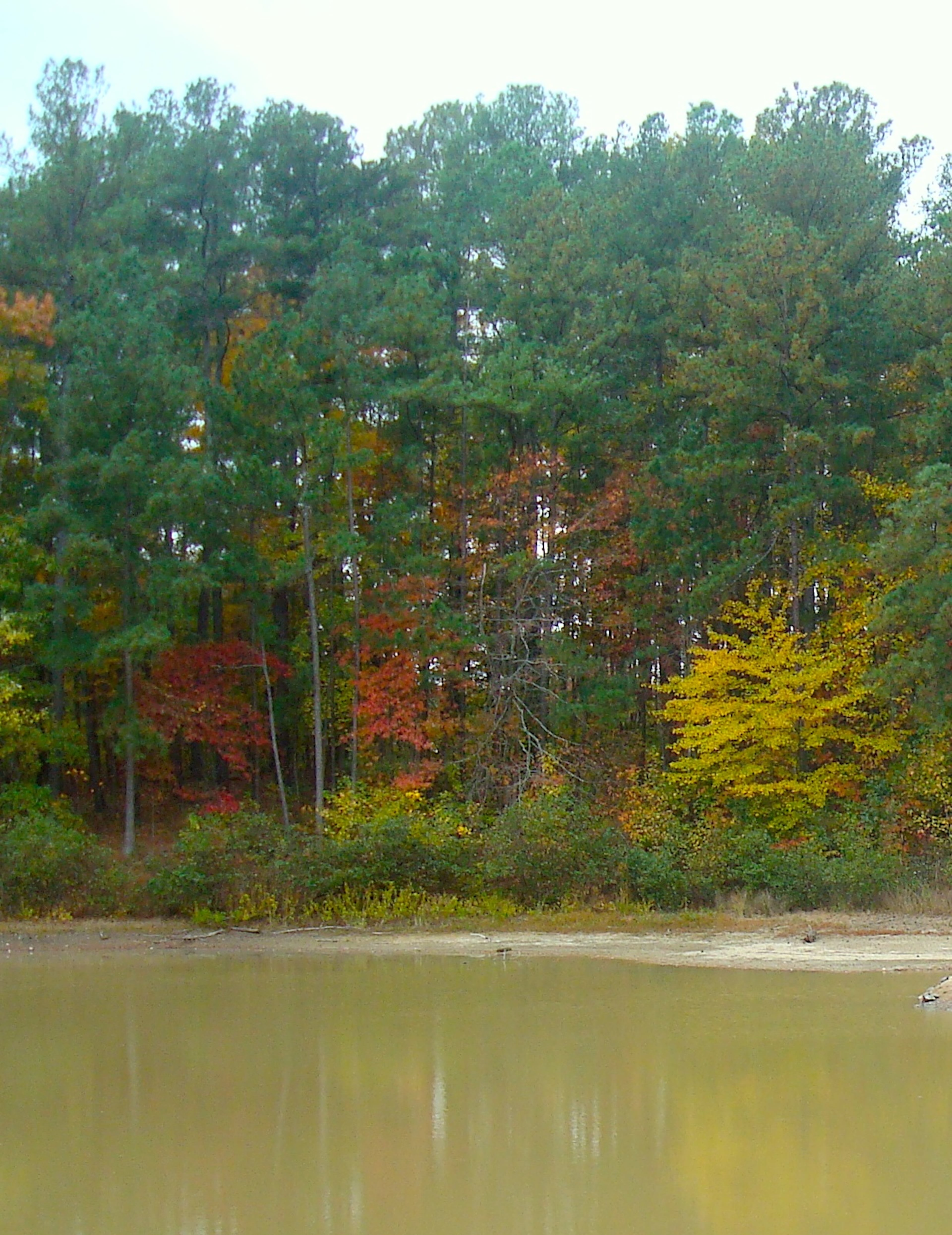 Autumn at Reynolds Nature Preserve is something to behold. (Courtesy of Jonah McDonald)