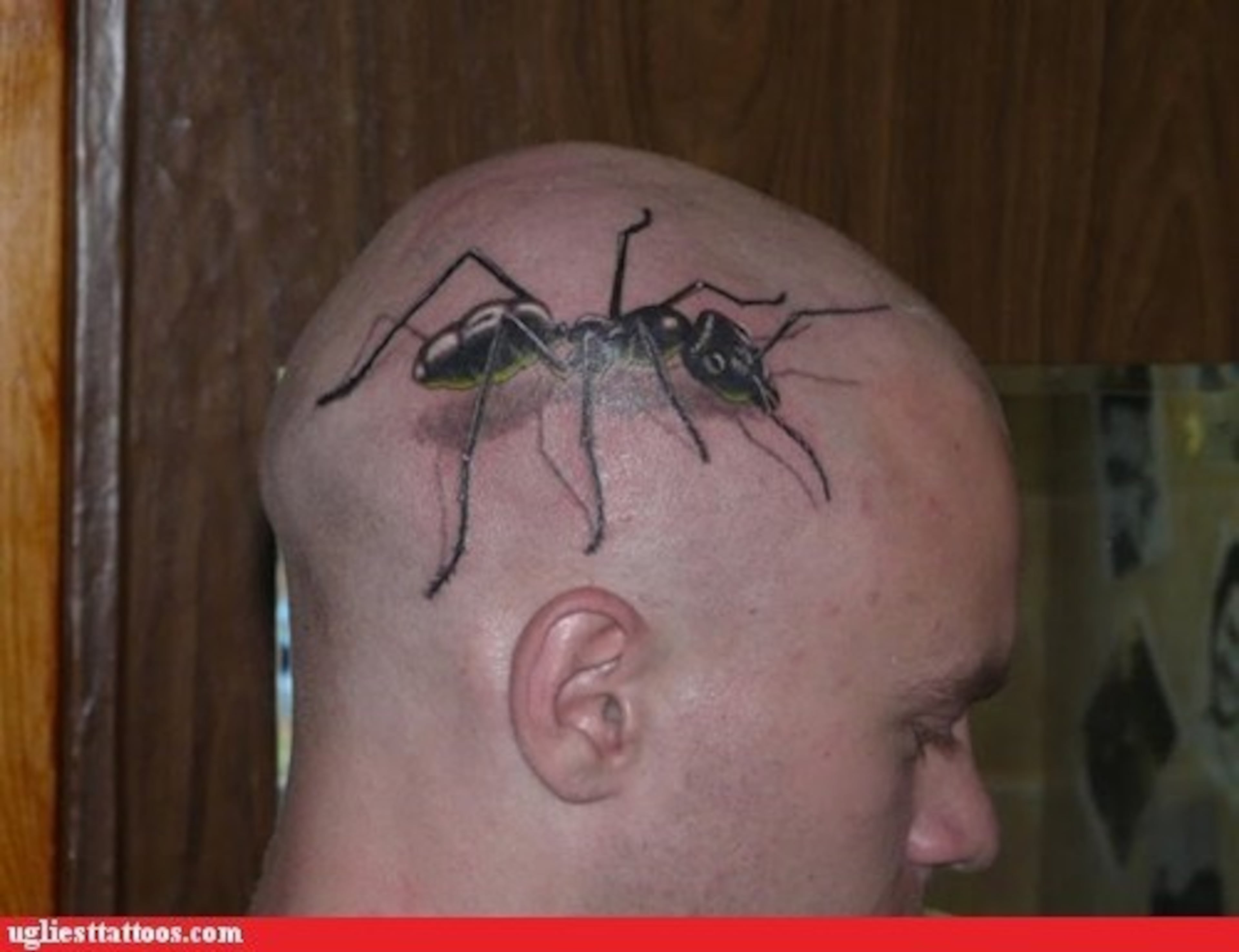 SeattleInsider tracked down a new collection of tattoos that will undoubtedly make you cringe.