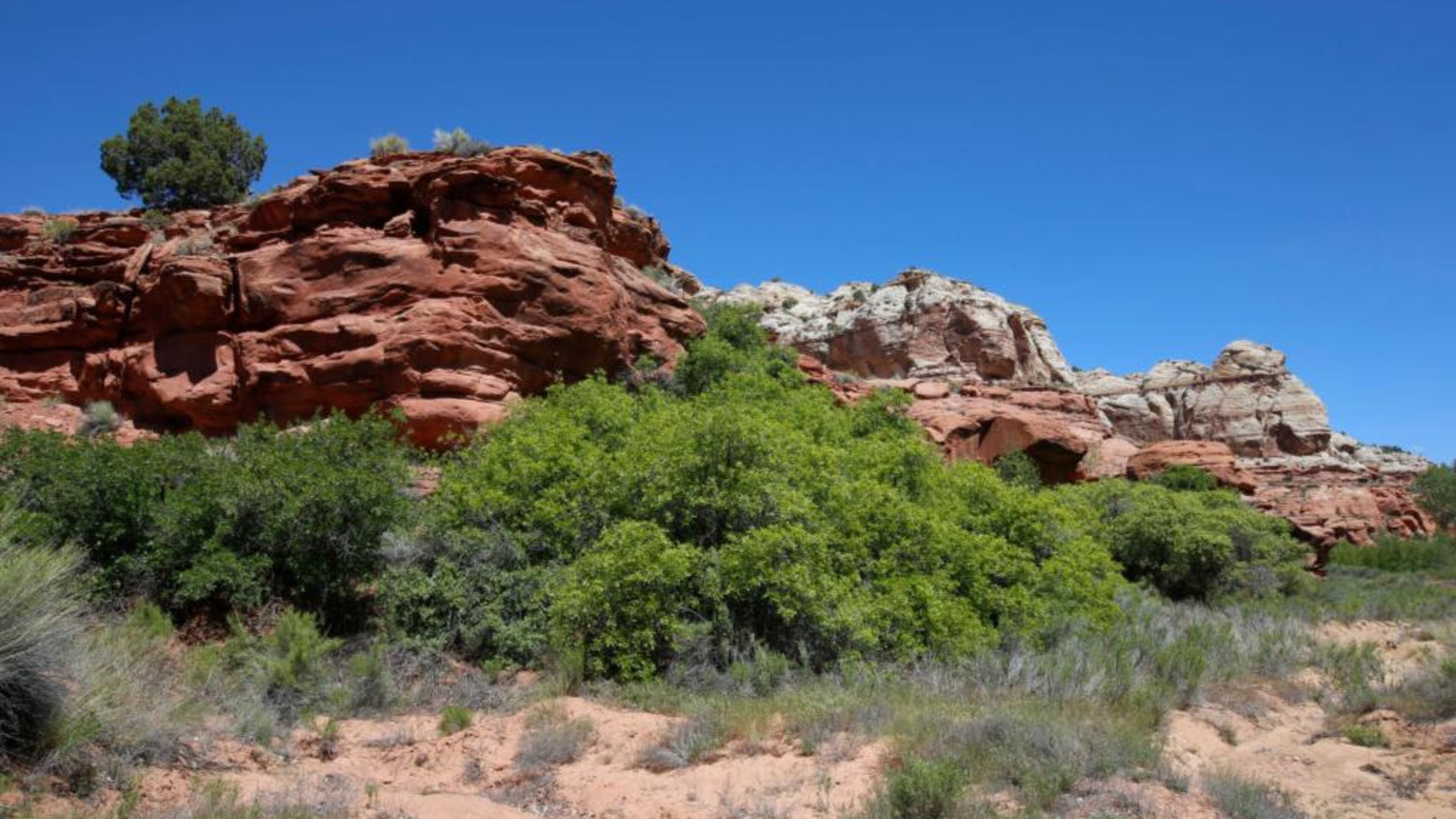A man was pinned down by a 1-ton boulder at a Colorado state park Friday.