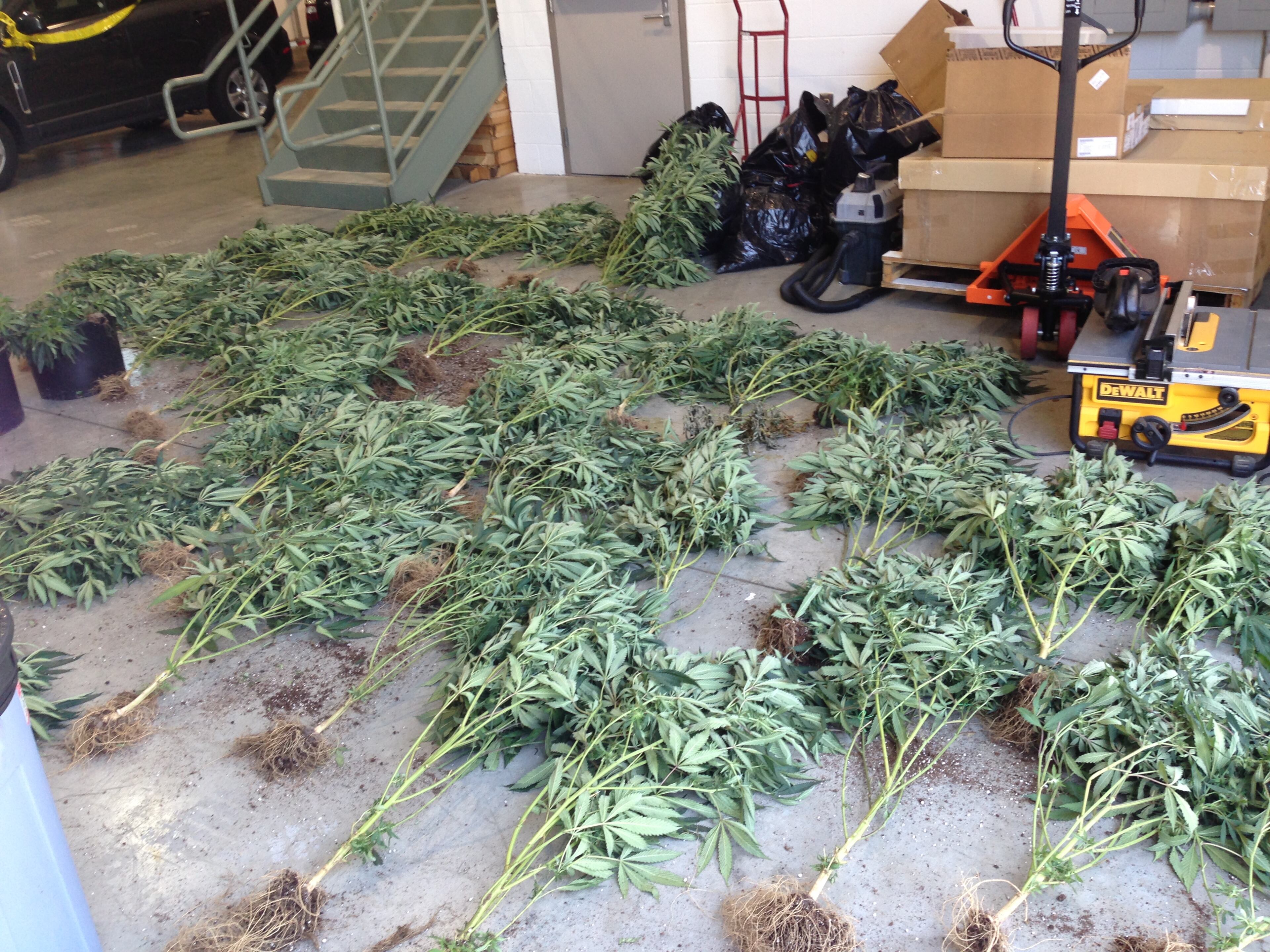 Gordon said the seizure was in excess of 188 pounds, with a street value of $850,000.