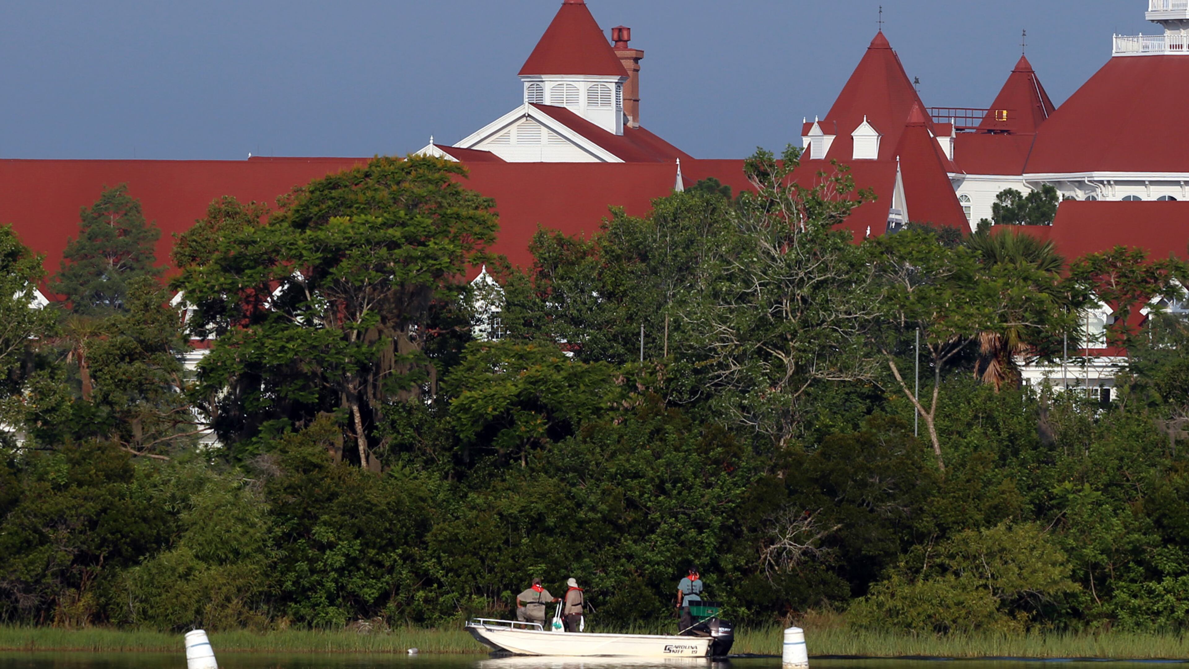 Florida Fish and Wildlife search for a young boy Wednesday, June 15, 2016 after the boy was grabbed Tuesday night by an alligator at Grand Floridian Resort at Disney World in Lake Buena Vista, Fla. (Red Huber/Orlando Sentinel/TNS)