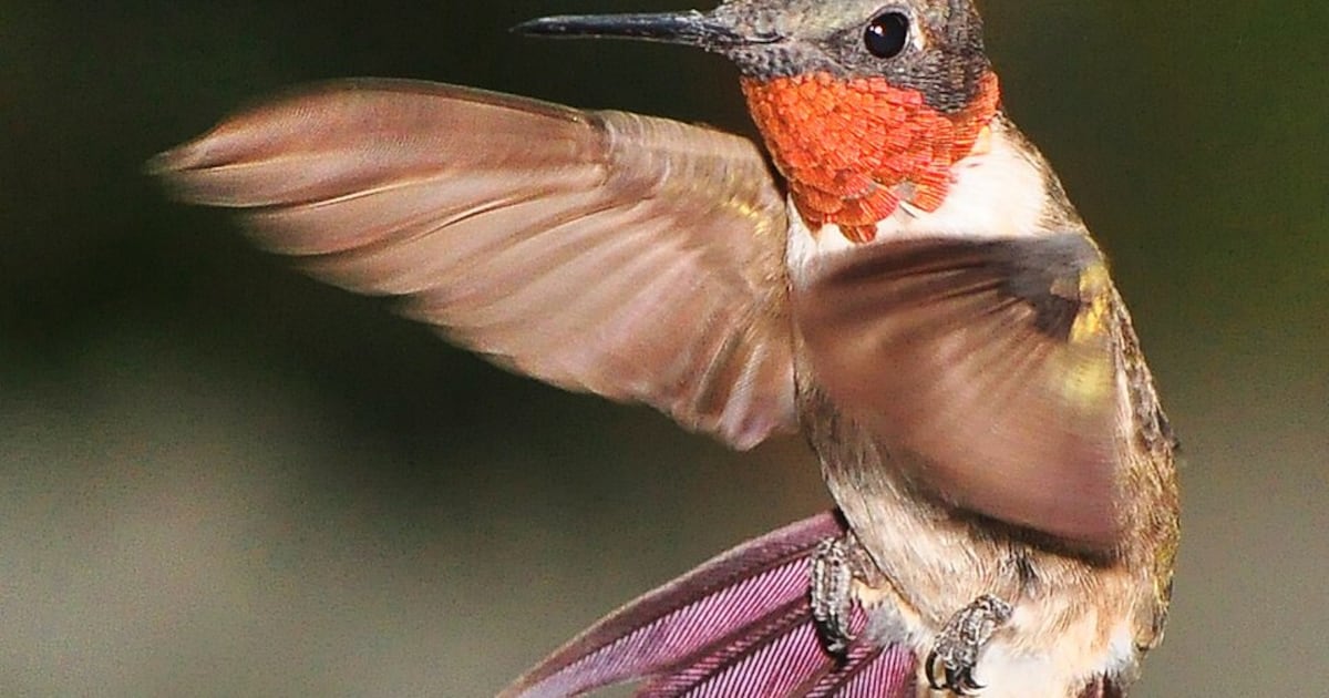 Fourth of July marks the turning point of the natural year