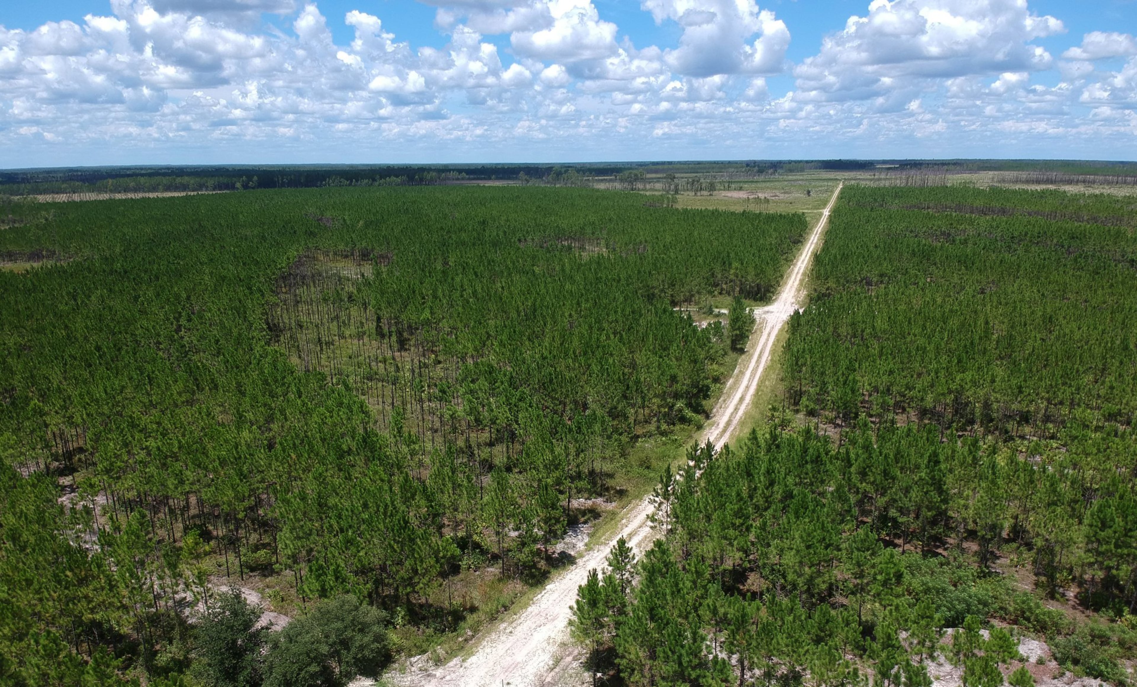 Twin Pines Minerals wants to set up a mining operation on Trail Ridge about 4 miles from the Okefenokee Swamp. Aerial photography shows a portion of Trail Ridge and the proposed mining site located north of Ga. 94 and the southeastern edge of the Okefenokee Swamp (background) in Saint George. Environmental advocates are concerned about the potential impact of mining on the swamp and St. Marys River. HYOSUB SHIN / HYOSUB.SHIN@AJC.COM