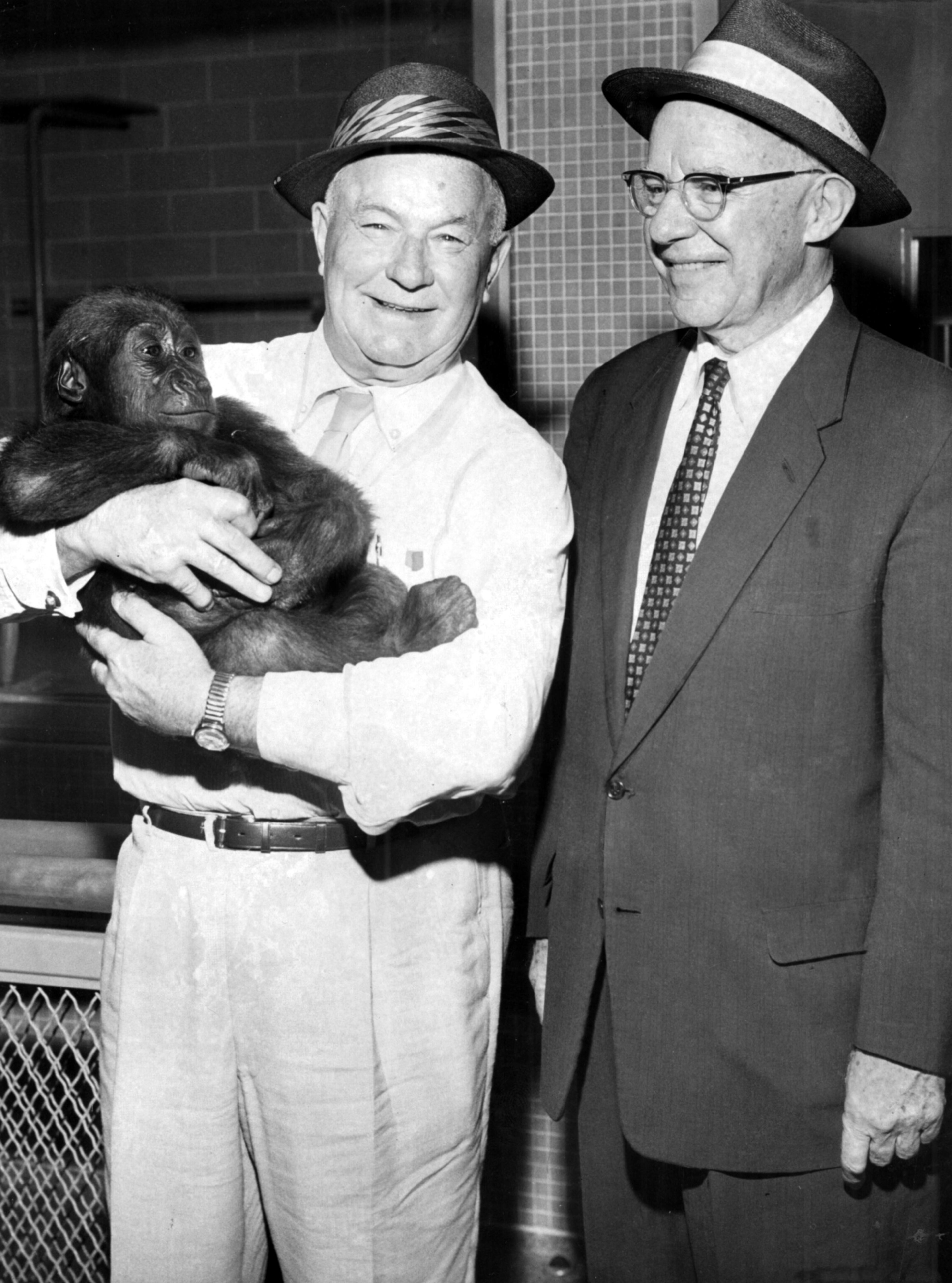 Aug. 28, 1959 - Top Level Conference: Two mayors and a mayor's namesake get together at Grant Park Zoo. Brimingham mayor James Morgan was in town to visit the zoo and Lenox Square. He, Mayor Hartsfield and Willie B., the zoo's new gorilla, pose for the AJC's photographer.