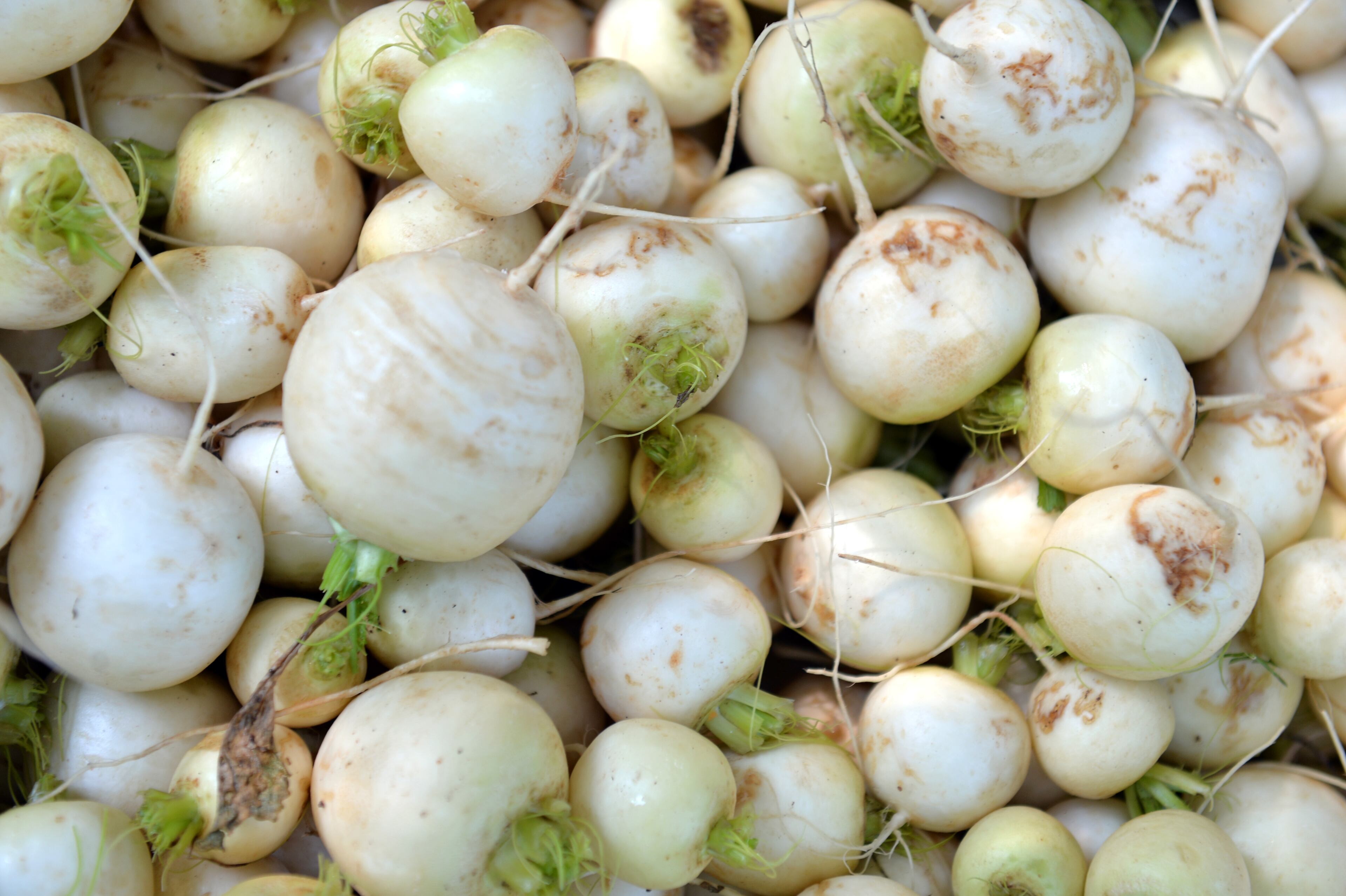 Beets were among the vegetables harvested at Burundi Women's Farm in Decatur on Saturday, June 14, 2014. HYOSUB SHIN / HSHIN@AJC.COM