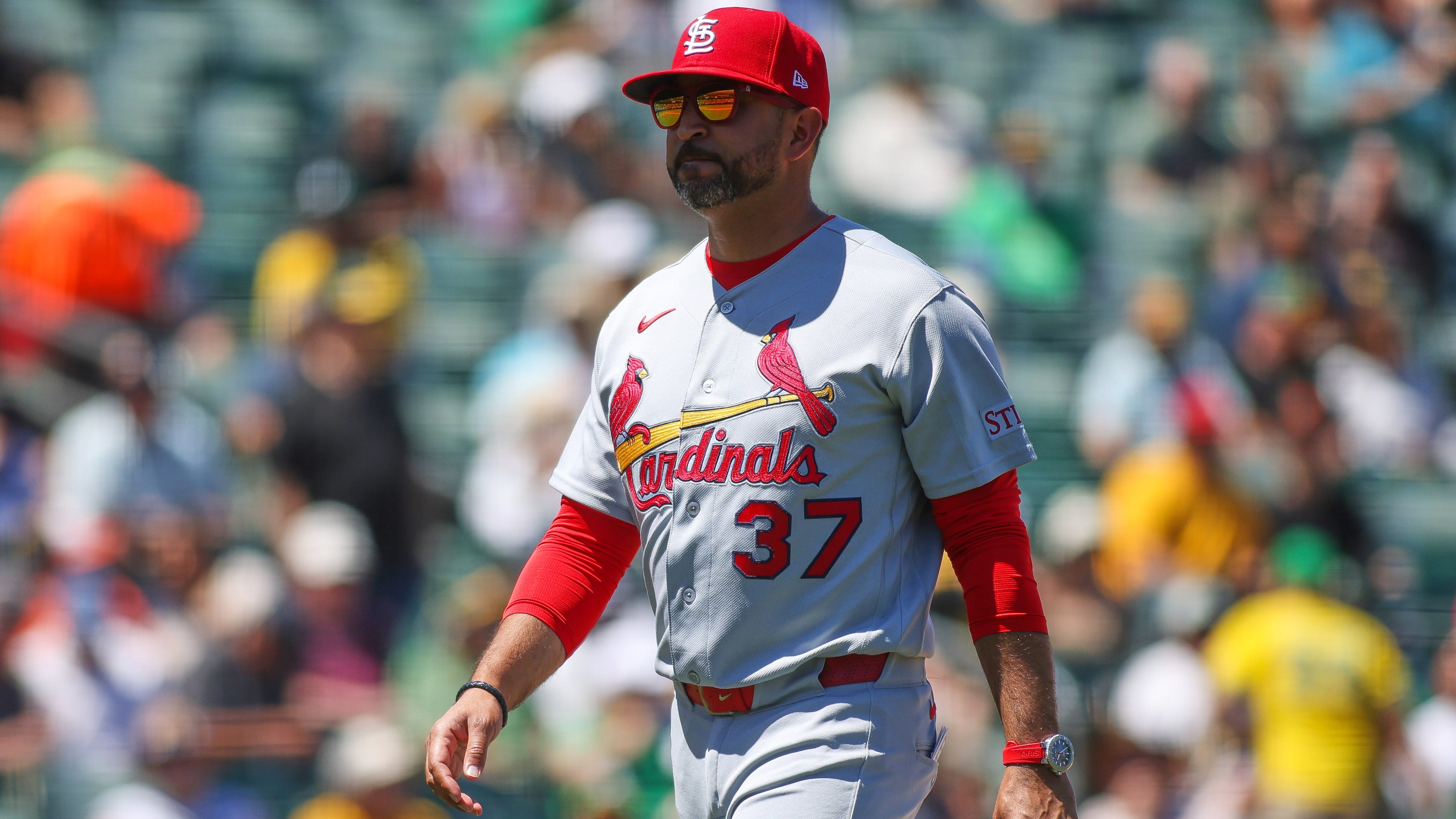 St. Louis Cardinals manger Oliver Marmol walks to the dugout after making a pitching change during the seventh inning of a baseball game against the Athletics, Thursday, May 14, 2026, in West Sacramento, Calif. (AP Photo/Scott Marshall)
