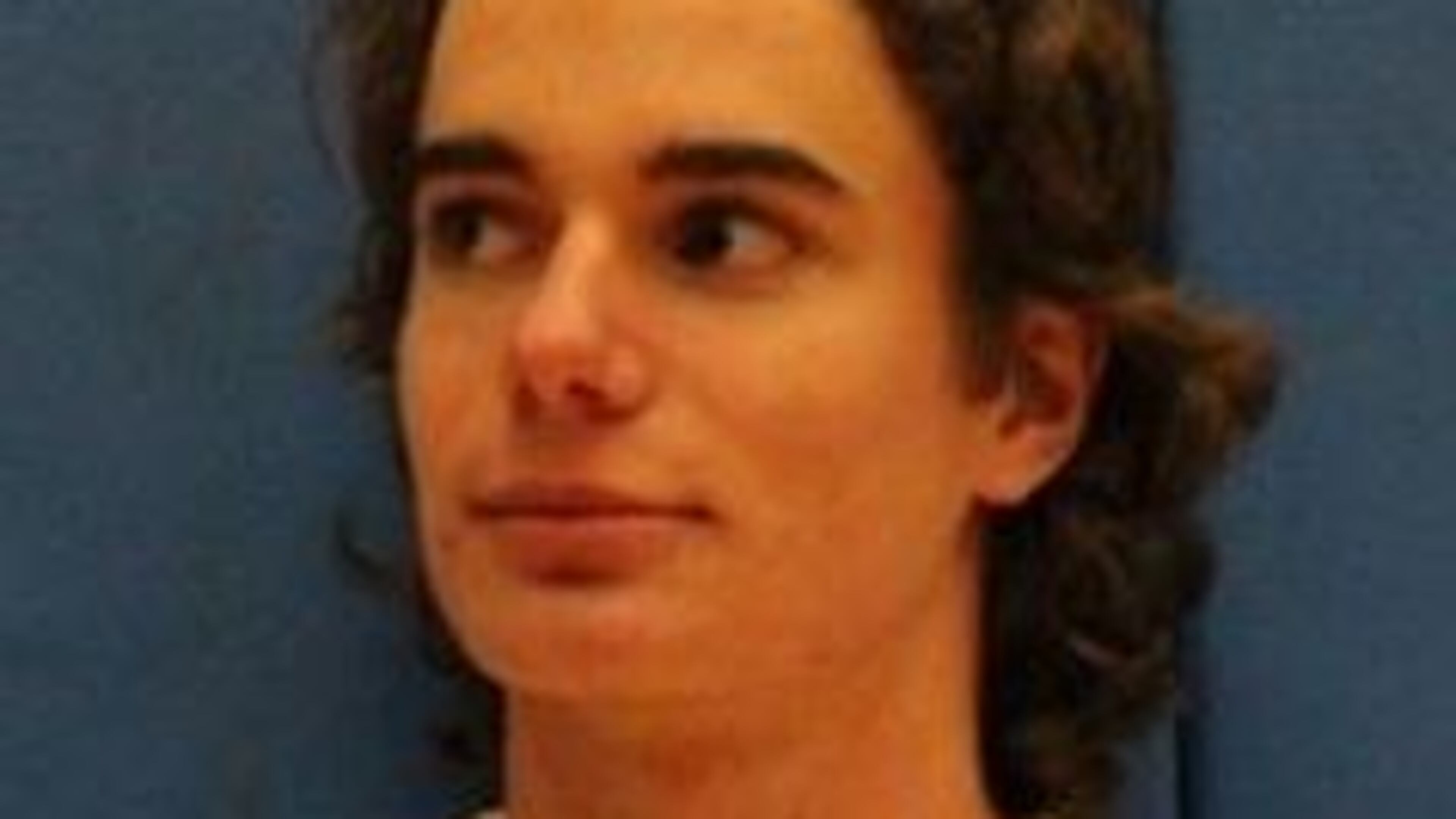 Andrew Gray (Channel 2 Action News)