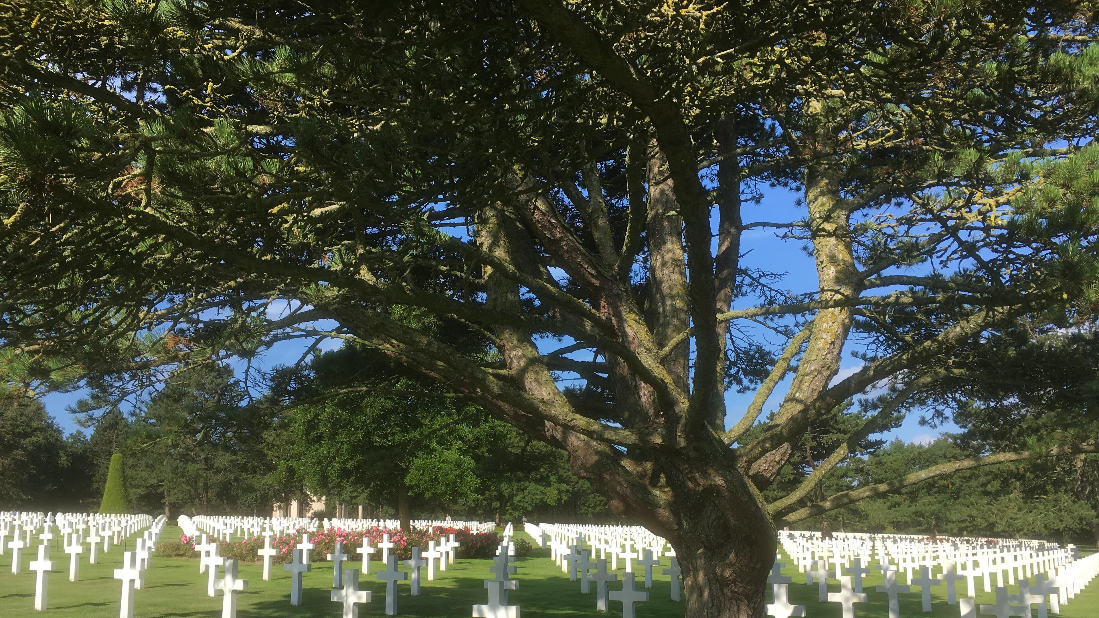 "This is the Normandy American Cemetery at Colleville-sur-Mer, overlooking Omaha Beach. Taken summer of 2019, 75 years after the D-Day invasion," wrote Loren Williams.