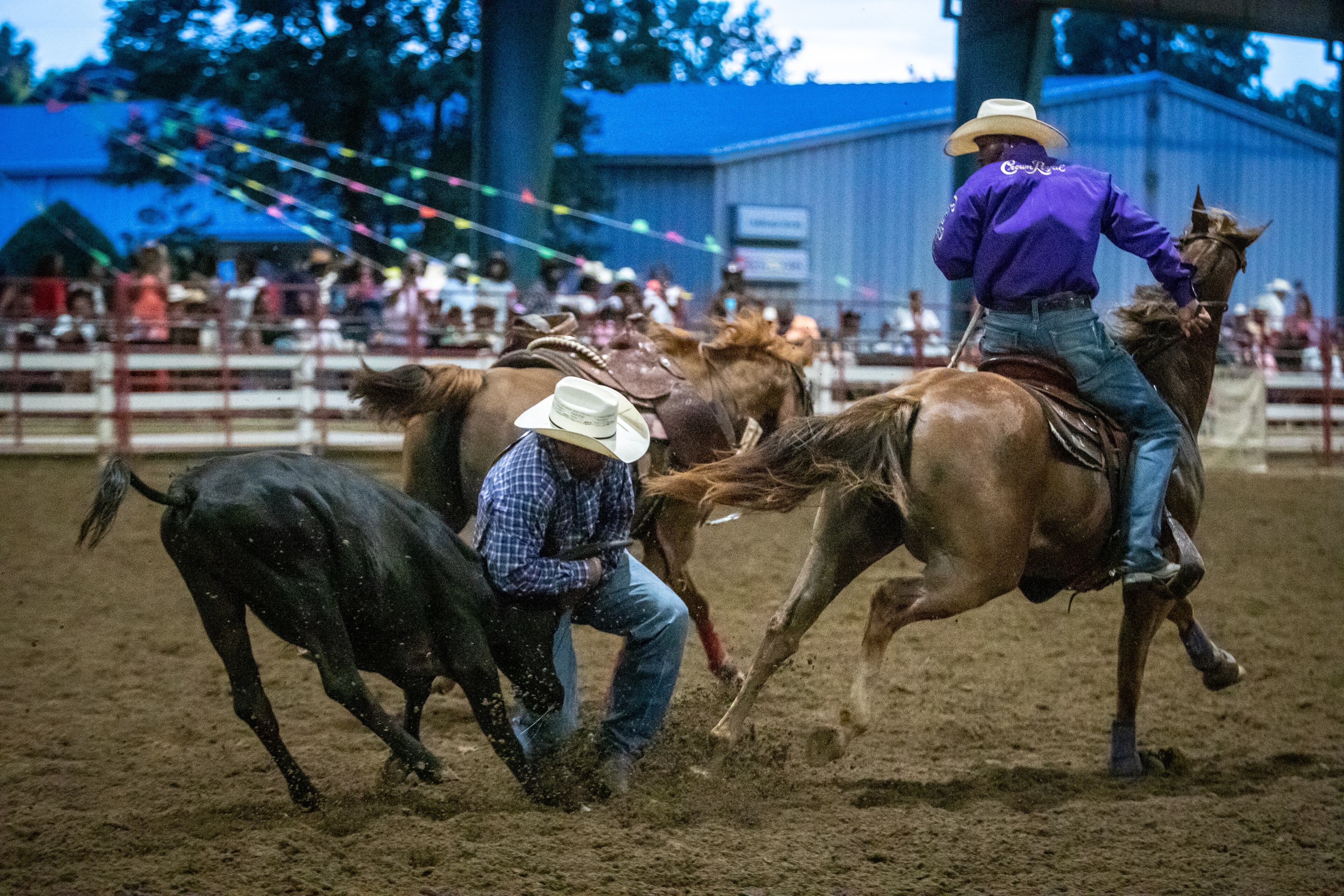 A rider tries to bring down a steer during the bull-dogging event at the Bill Pickett Rodeo at the Georgia International Horse Park in Conyers on Saturday, August 6, 2022. The rodeo's metro Atlanta two-day stop was sold out. (Photo: Steve Schaefer / steve.schaefer@ajc.com)