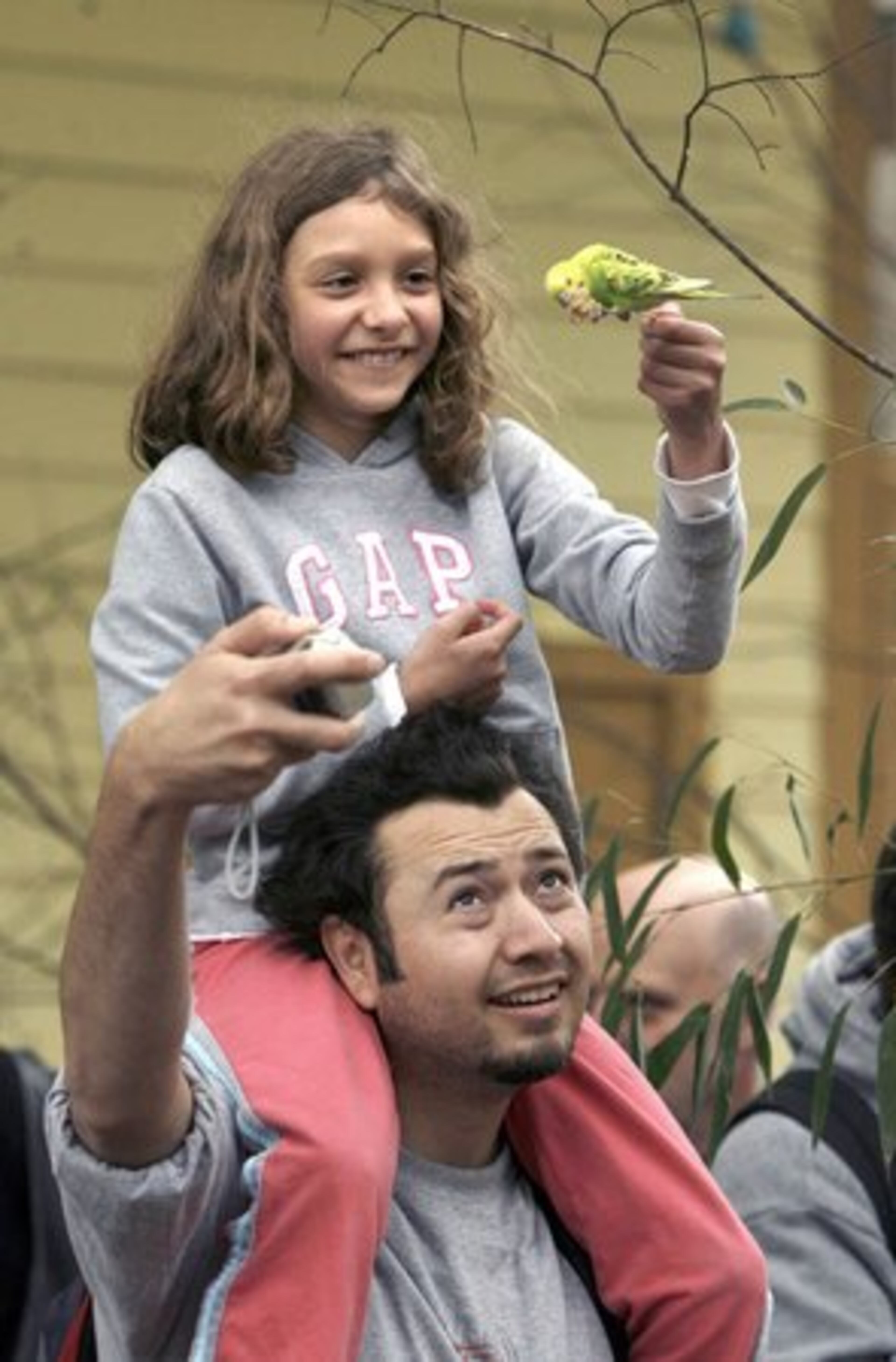 Ellie Salguero, 7, of Stockbridge is able to land a parakeet on her seed stick while on the shoulder's of her father Miguel Salguero. Miguel tried to take a photograph of his daughter.