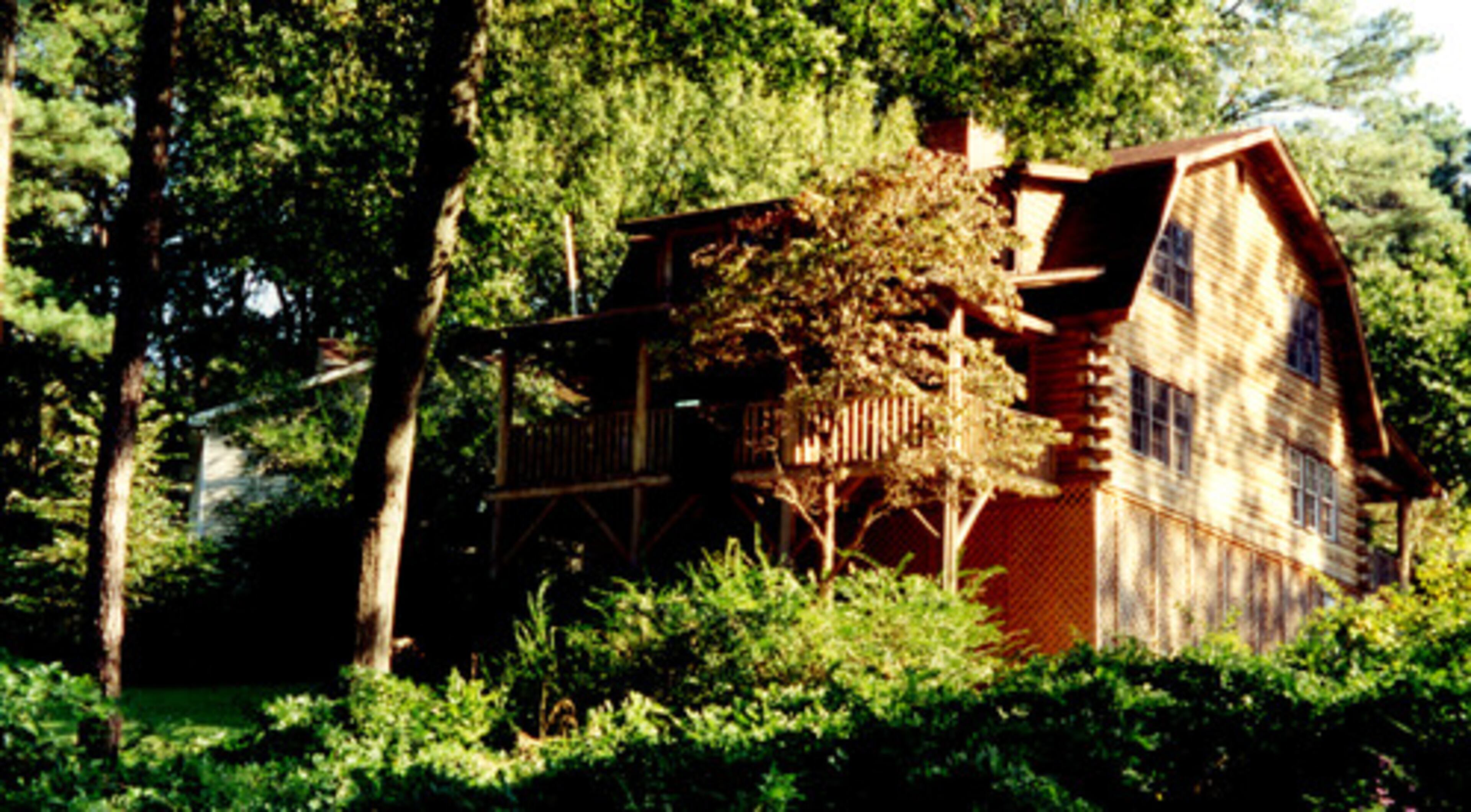 The back of the cabin, before renovations.