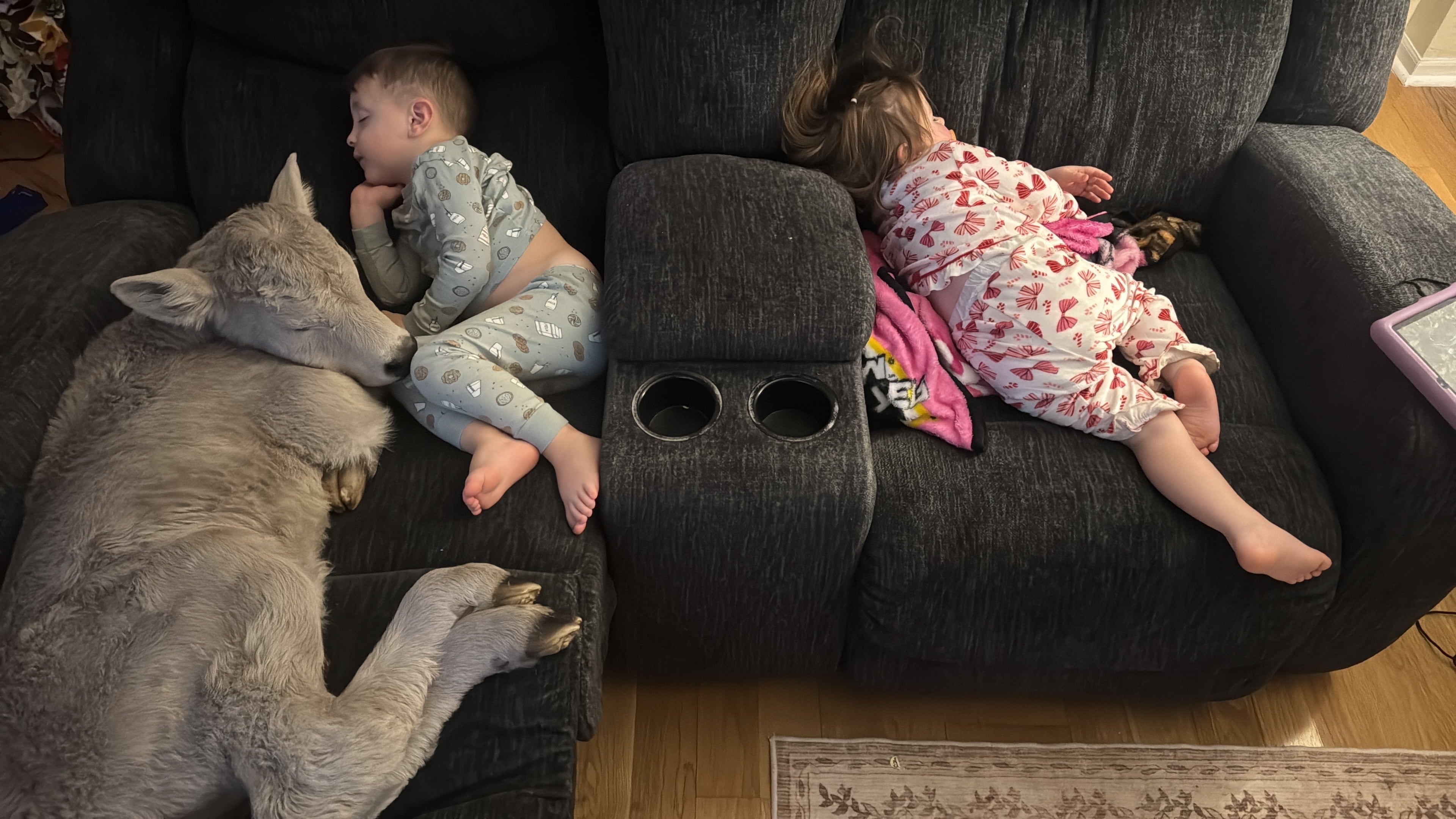In this photo provided by Macey Sorrell, 3-year-old Gregory Sorrell cuddles with a calf his family brought indoors during extreme cold temperatures in Mount Sterling, Ky., on Saturday, Jan. 24, 2026. At right is his sister, Charlee Sorrell, 2. (Courtesy Macey Sorrell via AP)