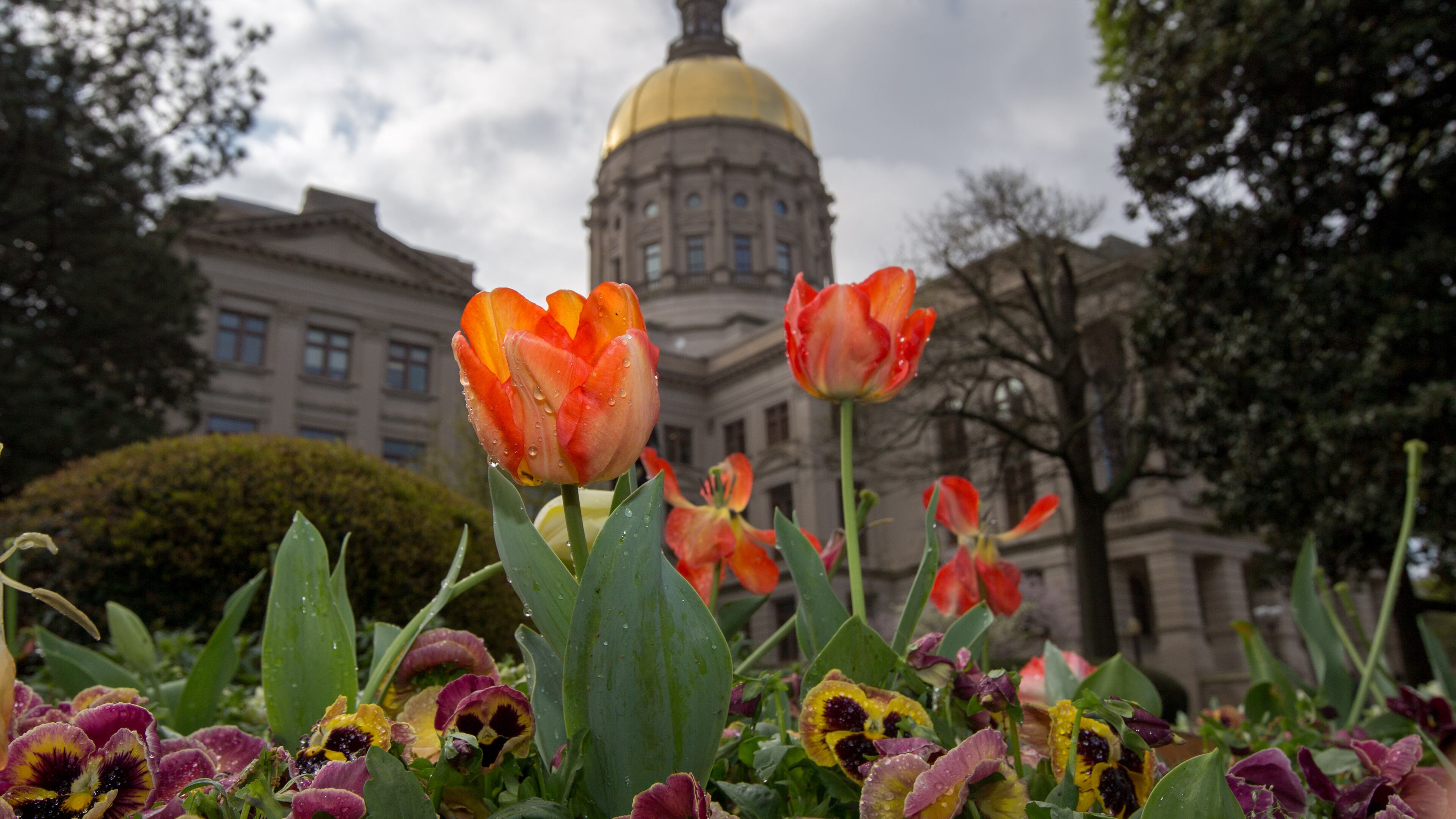 Georgia state Capitol. BRANDEN CAMP/SPECIAL