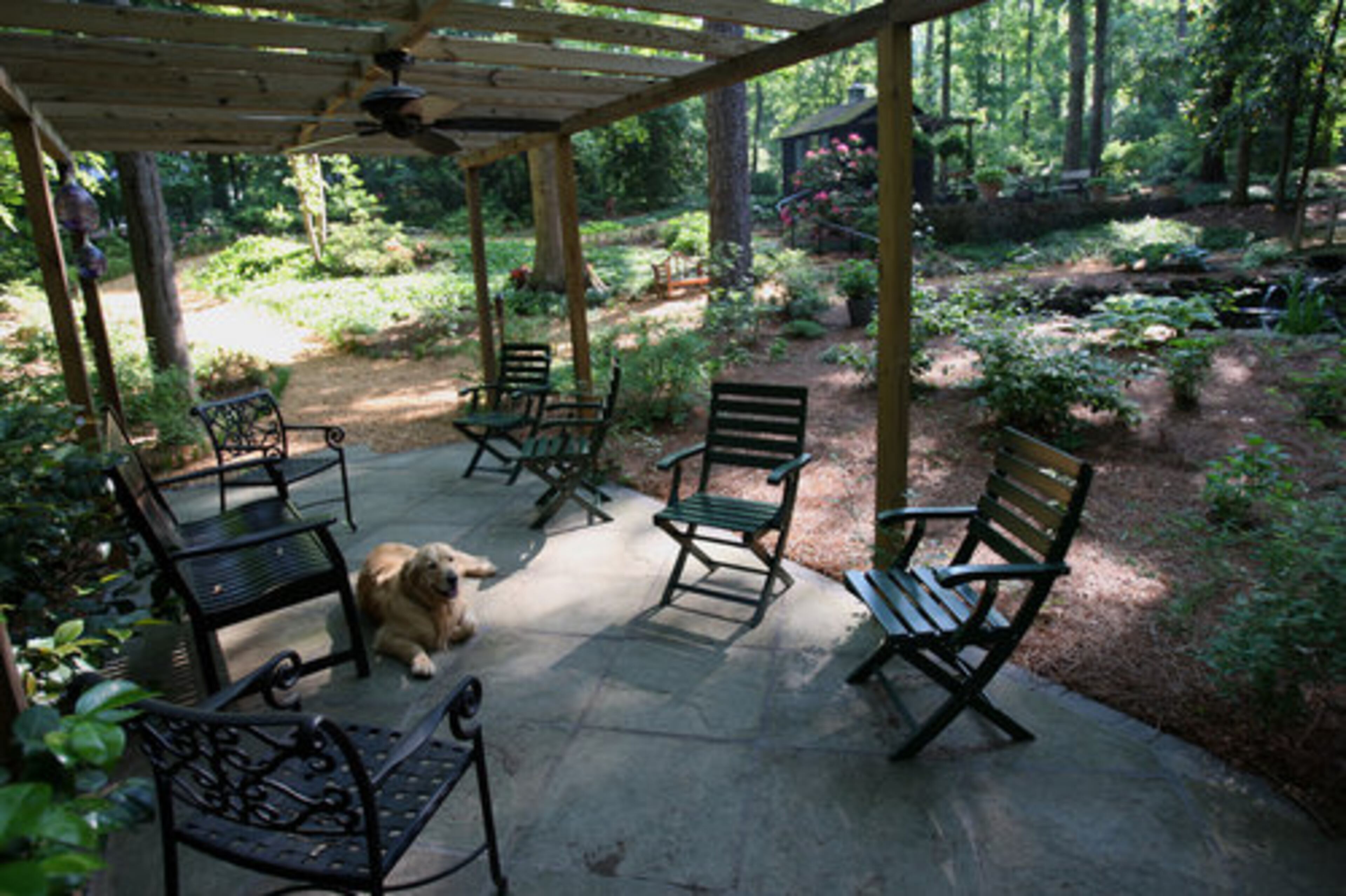 Baloo the dog takes a rest in this seating area found in the vast garden of William and Jean Astrop in Buckhead.