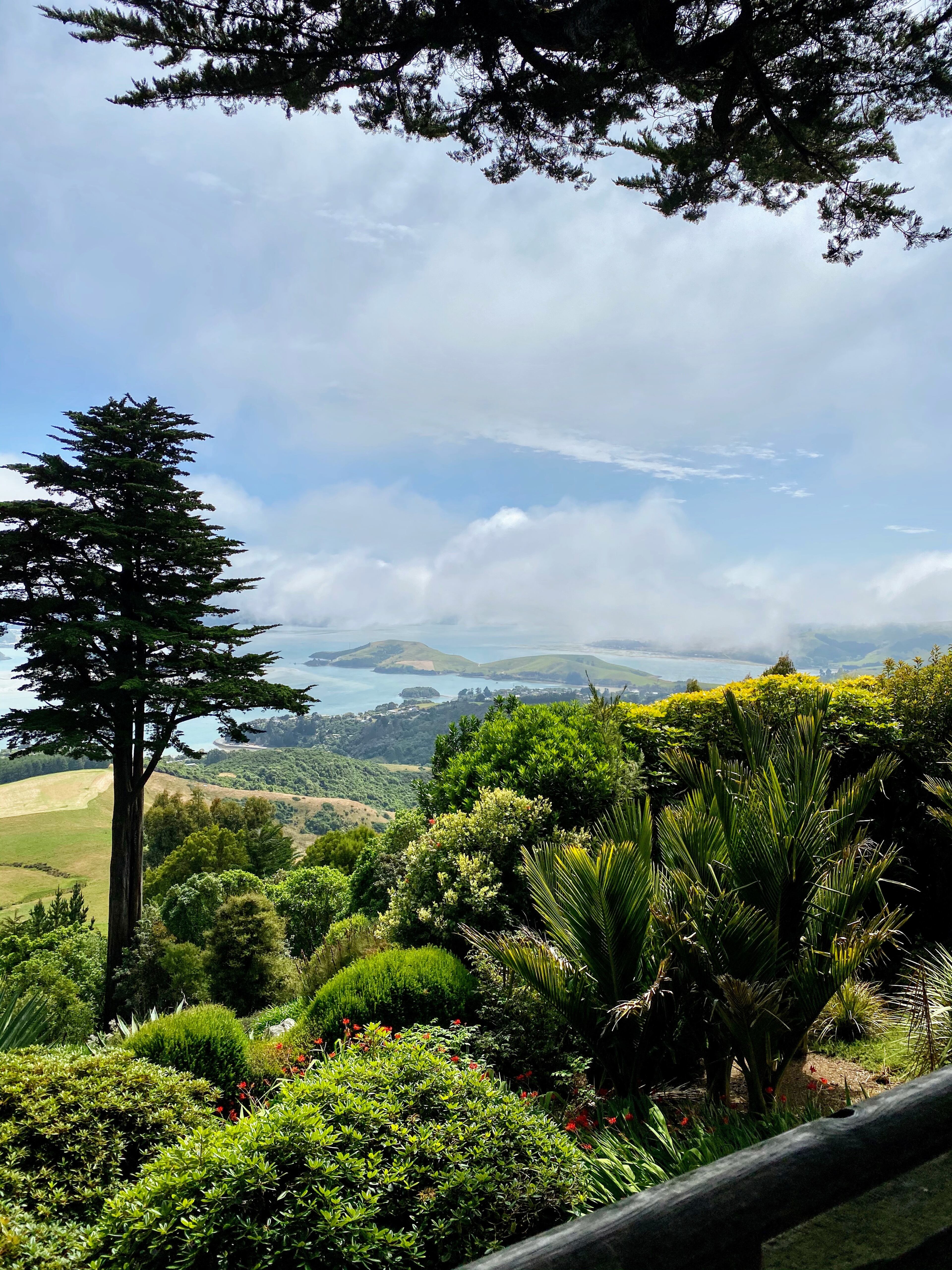 Marie Smith of Canton submitted this photo of Larnach Castle Gardens in Dunedin, New Zealand taken on Jan 26, 2020.
Regards,