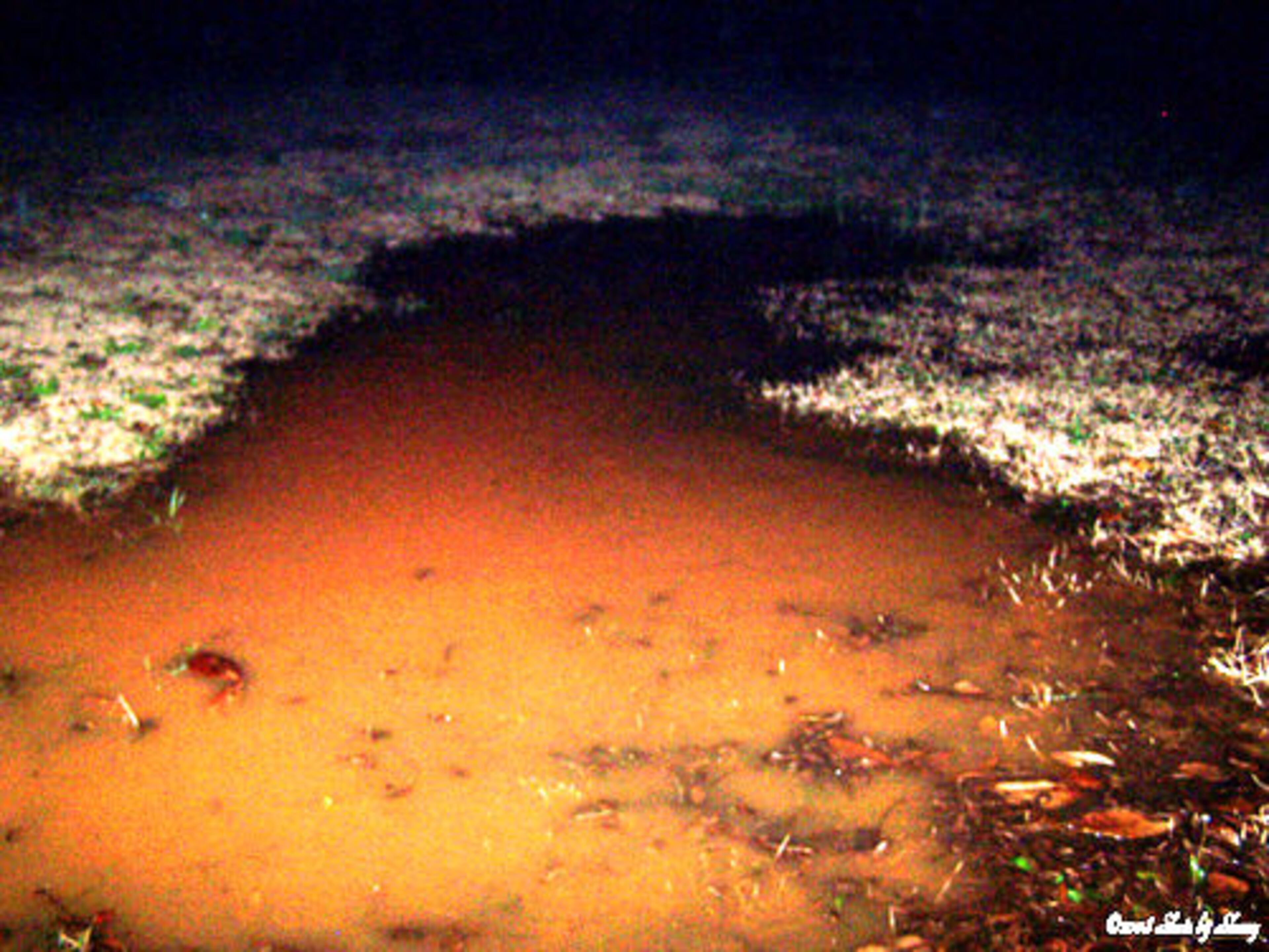 Yard flooding so far in Stockbridge