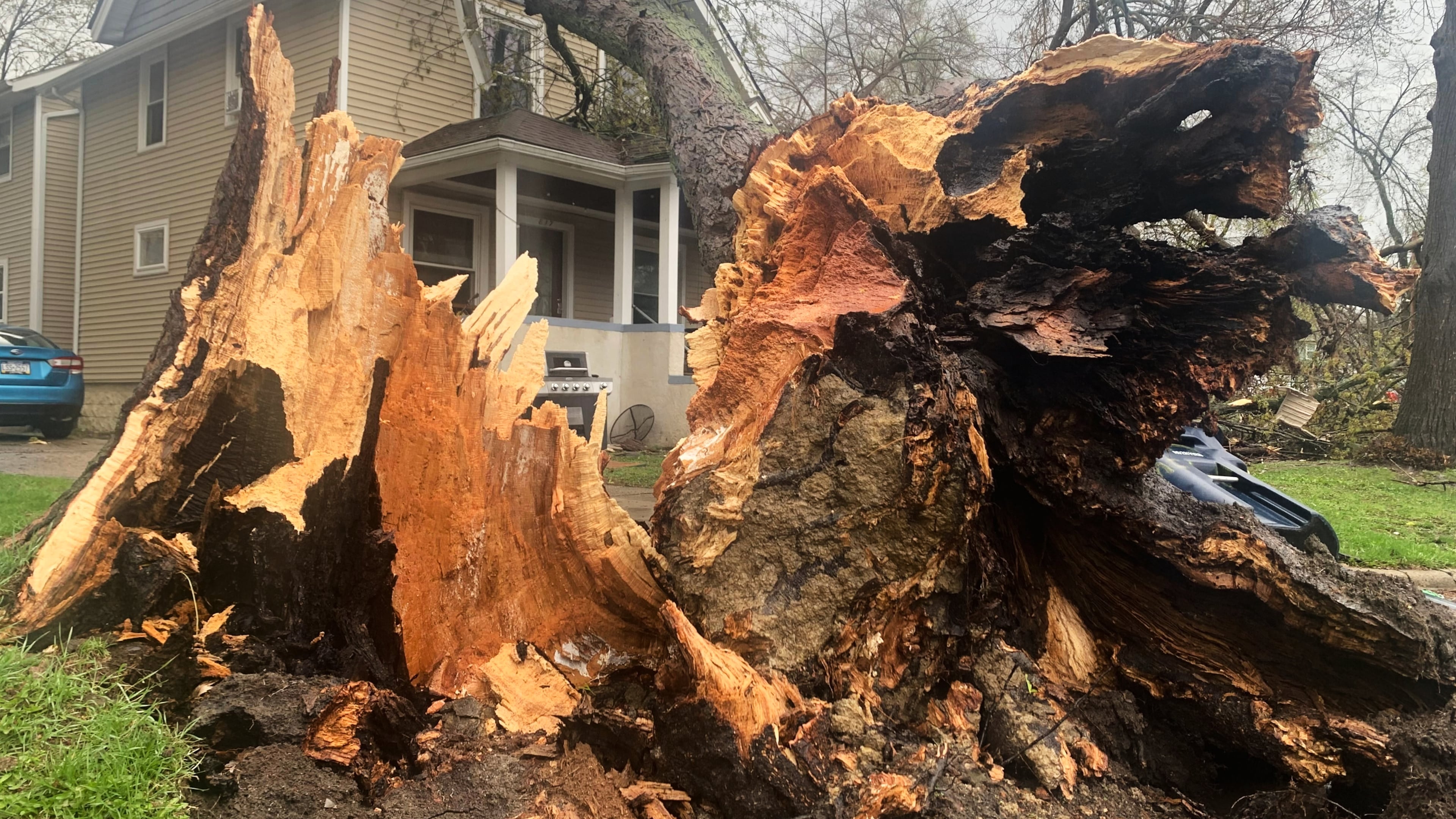 An uprooted tree rests on a home following a severe storm Wednesday, April 15, 2026, in Ann Arbor, Mich. (AP Photo/Mike Householder)