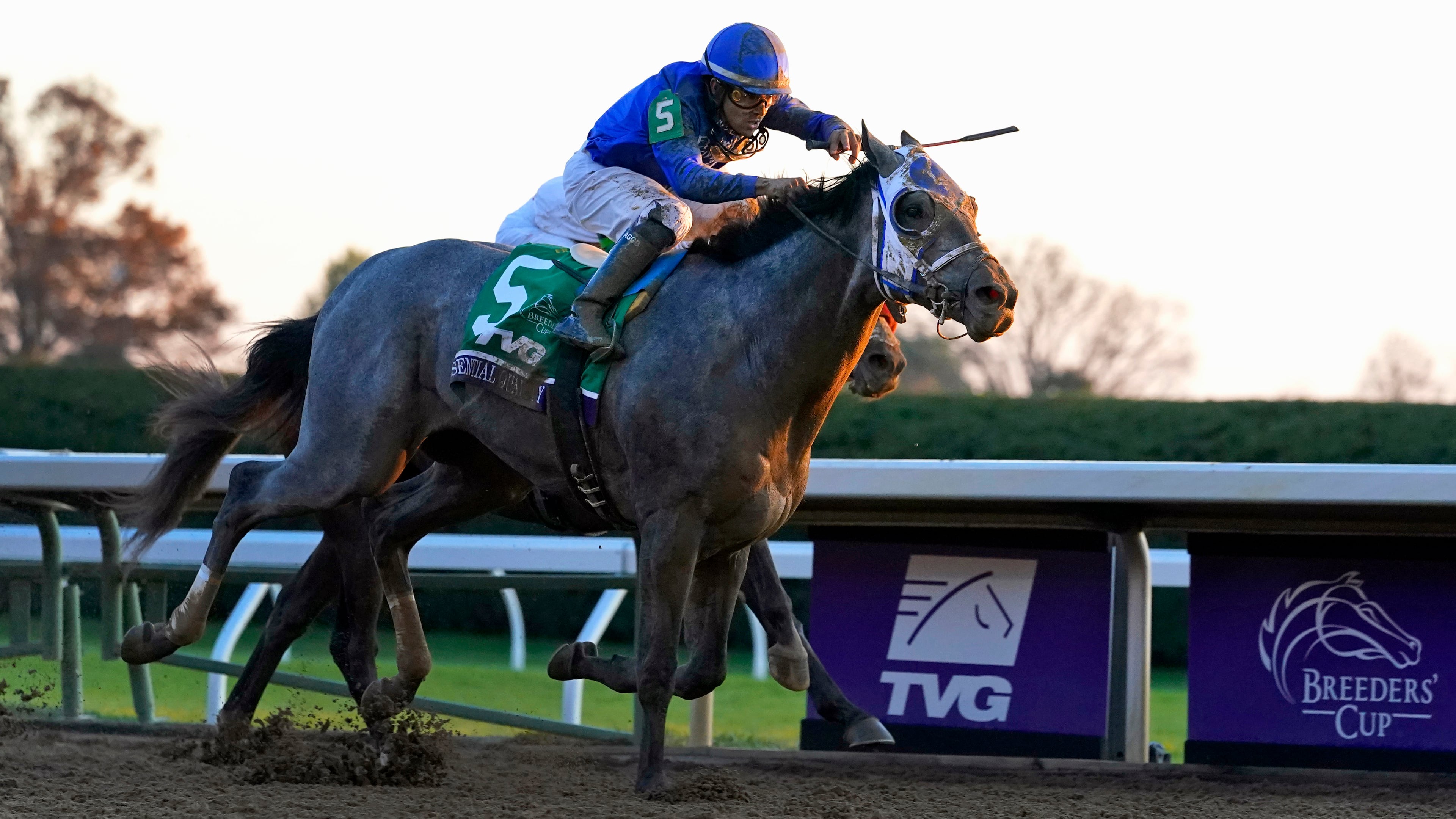 Jockey Luis Saez rides Essential Quality to win the Breeders' Cup Juvenile horse race at Keeneland Race Course in Lexington, Ky., in this Friday, Nov. 6, 2020. (Michael Conroy/AP)