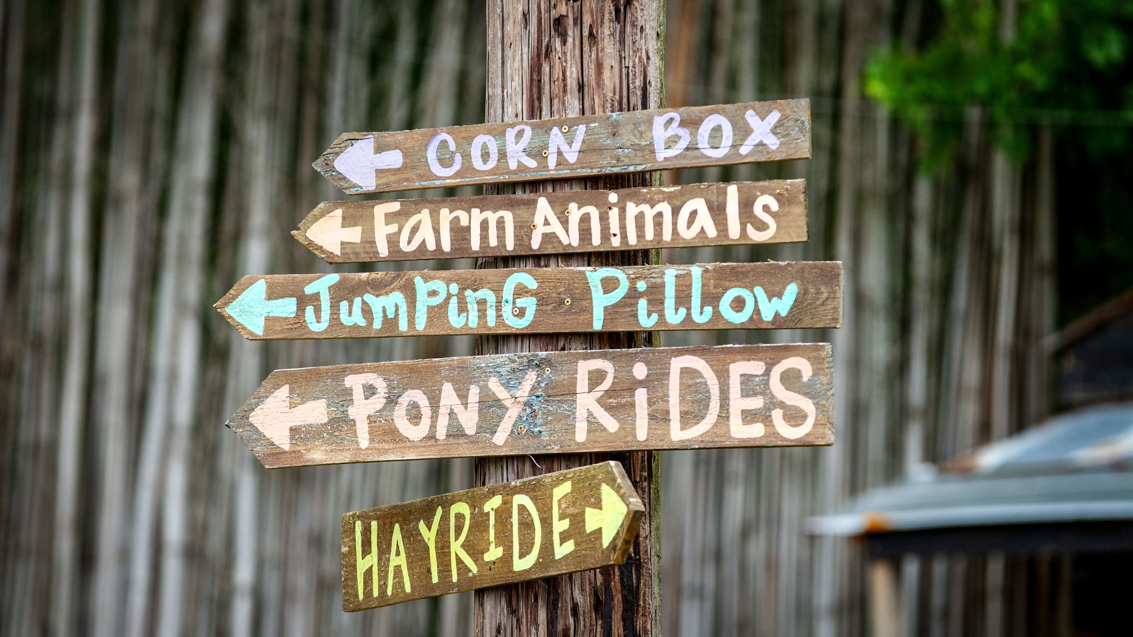 A sign points to some of the activities at the Buford Corn Maze on Sunday, May 2, 2021. (Photo: Steve Schaefer for The Atlanta Journal-Constitution)