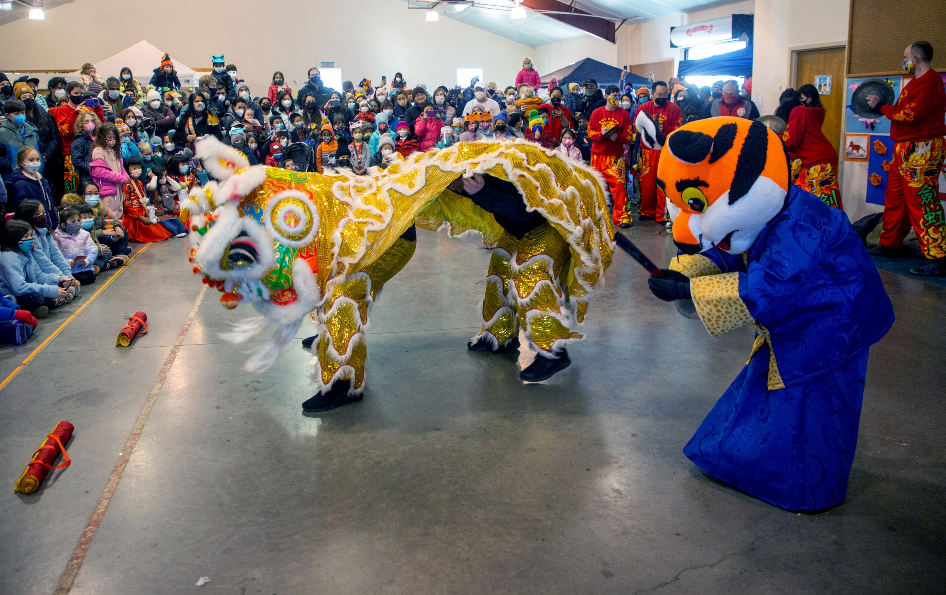 Entertainers perform the Lion Dance during Decatur's first Lunar New Year celebration at Legacy Park on Saturday, January 29, 2022. This will be the Year of the Tiger. STEVE SCHAEFER FOR THE ATLANTA JOURNAL-CONSTITUTION