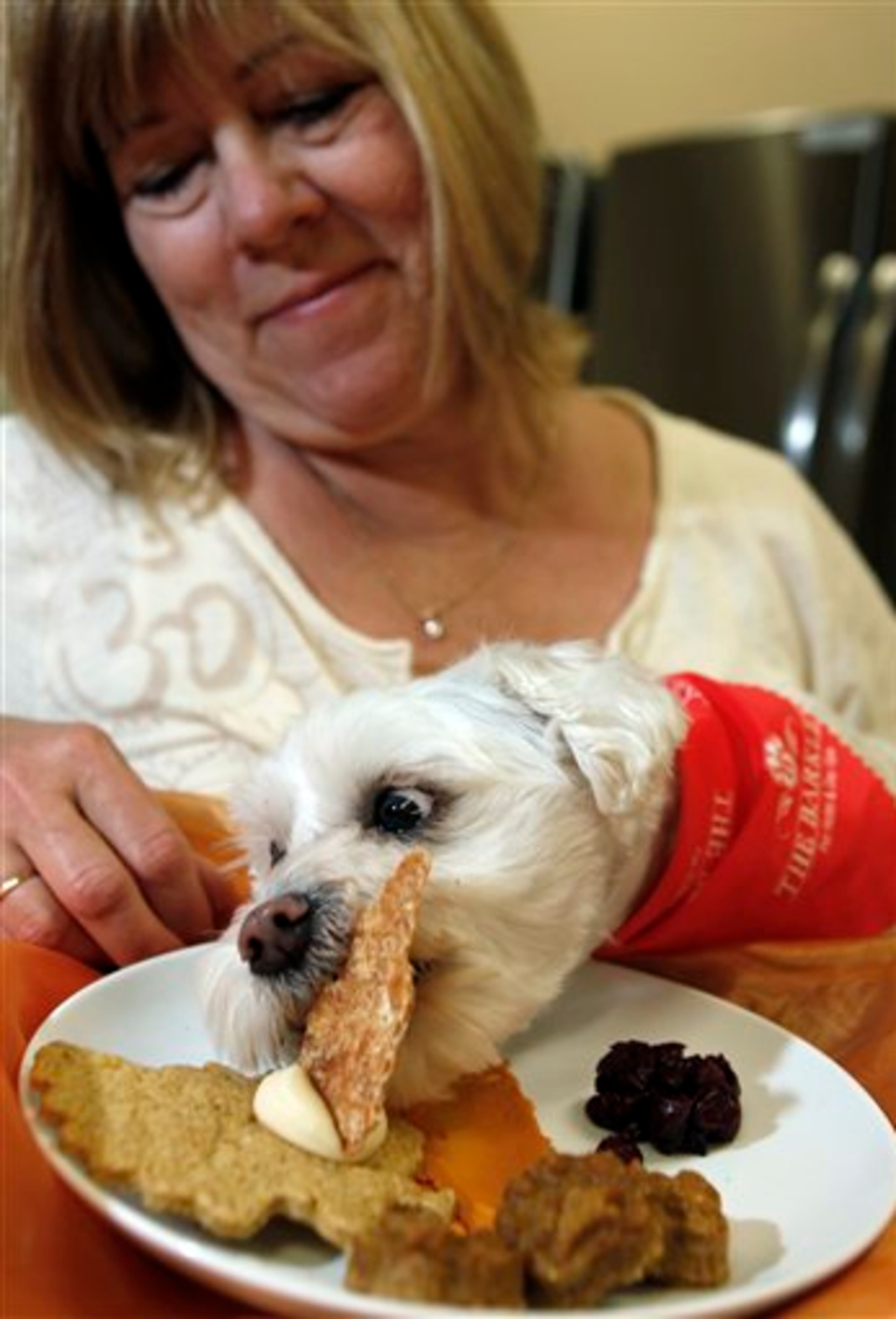 In this Wednesday, Oct. 26, 2011 photo, chef Jennifer Brouhard, who runs the Lucky Lab: Organic Dog Treat Co., treats Penny, a maltipoo (a maltese and poodle hybrid) to a special Thanksgiving plate at the Barkley Pet Hotel & Day Spa in Westlake Village, Calif. Brouhard describes the dish as dehydrated chicken tofu in a bed of turkey gobbler cookie with yogurt frosting, pumpkin turkey stuffing and dried cranberries. Boarding your pet has changed a lot over the past decade. Kennels still exist but in many cities today, you can also choose a pet-only resort or hotel or in-home care. (AP Photo/Reed Saxon)