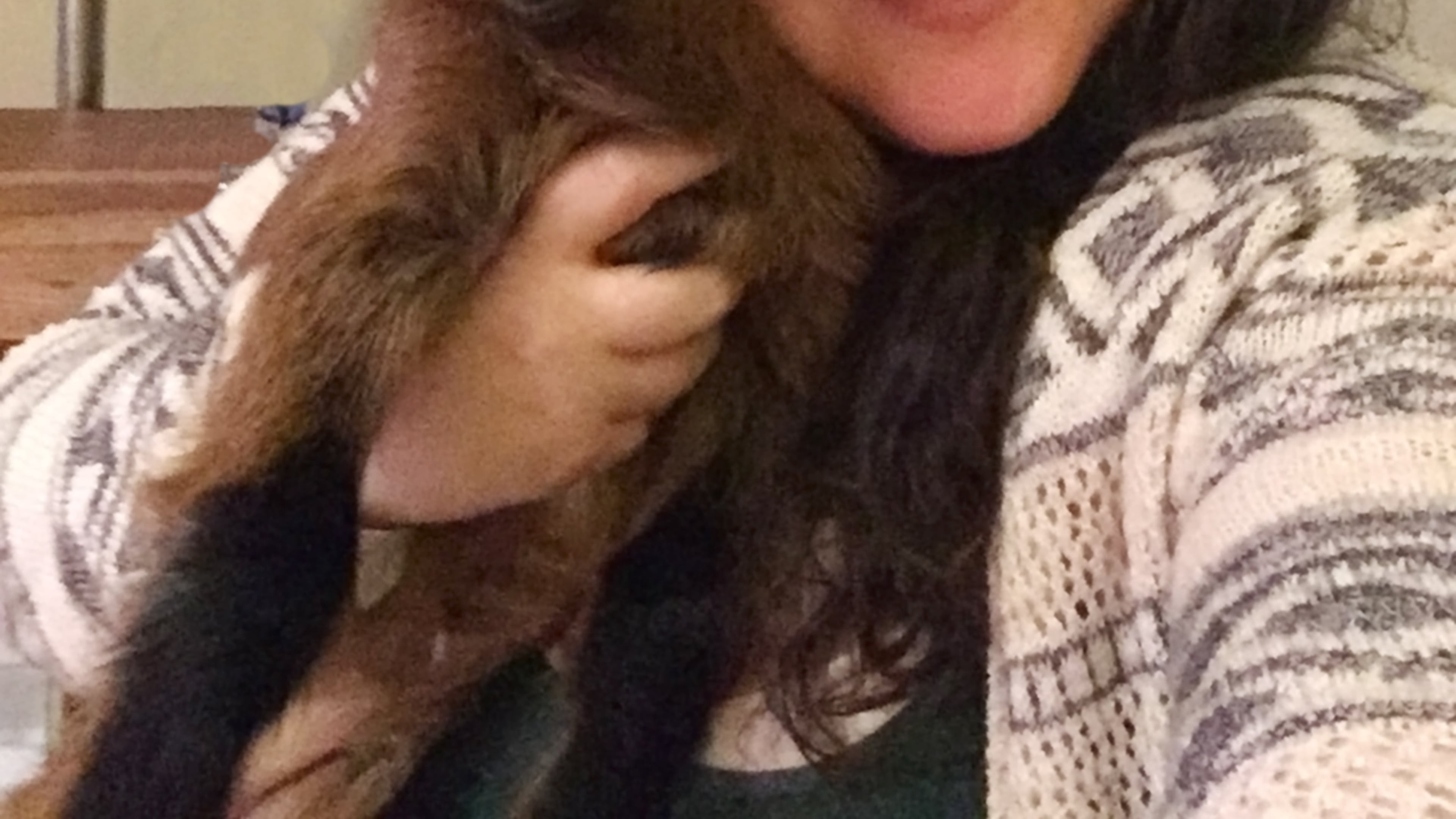 Megan Kibby and friend will be teaching Goat Yoga to yogis and goat fanciers who don’t mind practicing their morning asanas accompanied by the pitter-pat of little hooves. Photo: courtesy Red Wagon Goats