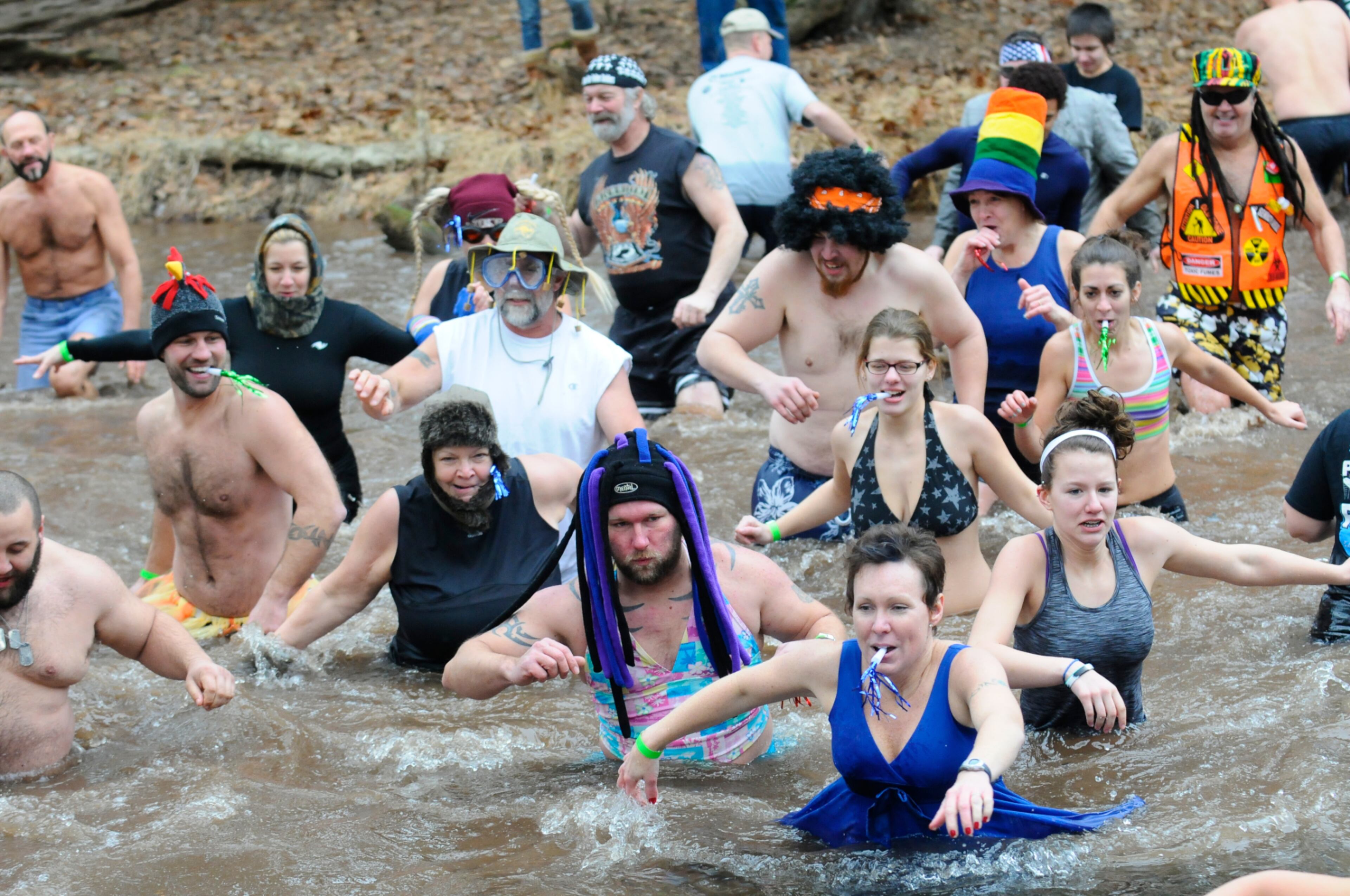 Thrill seekers make their way back to land after taking the plunge in the cold water during the 5th Annual Pine Creek Polar Bear Plunge in Valley View Park in Valley View, Pa., Wednesday, Jan. 1, 2014. The event is a benefit for the Pine Creek Trout Nursery. Pine Creek Trout Nursery is a cooperative of the Pennsylvania Fish & Boat Commission and the Valley View Gun Club. Each year, the nursery gets approximately 6,500 fish that are grown at the nursery and then used for a fishing rodeo and stocking local creeks. (AP Photo/The Republican-Herald, Jacqueline Dormer)
