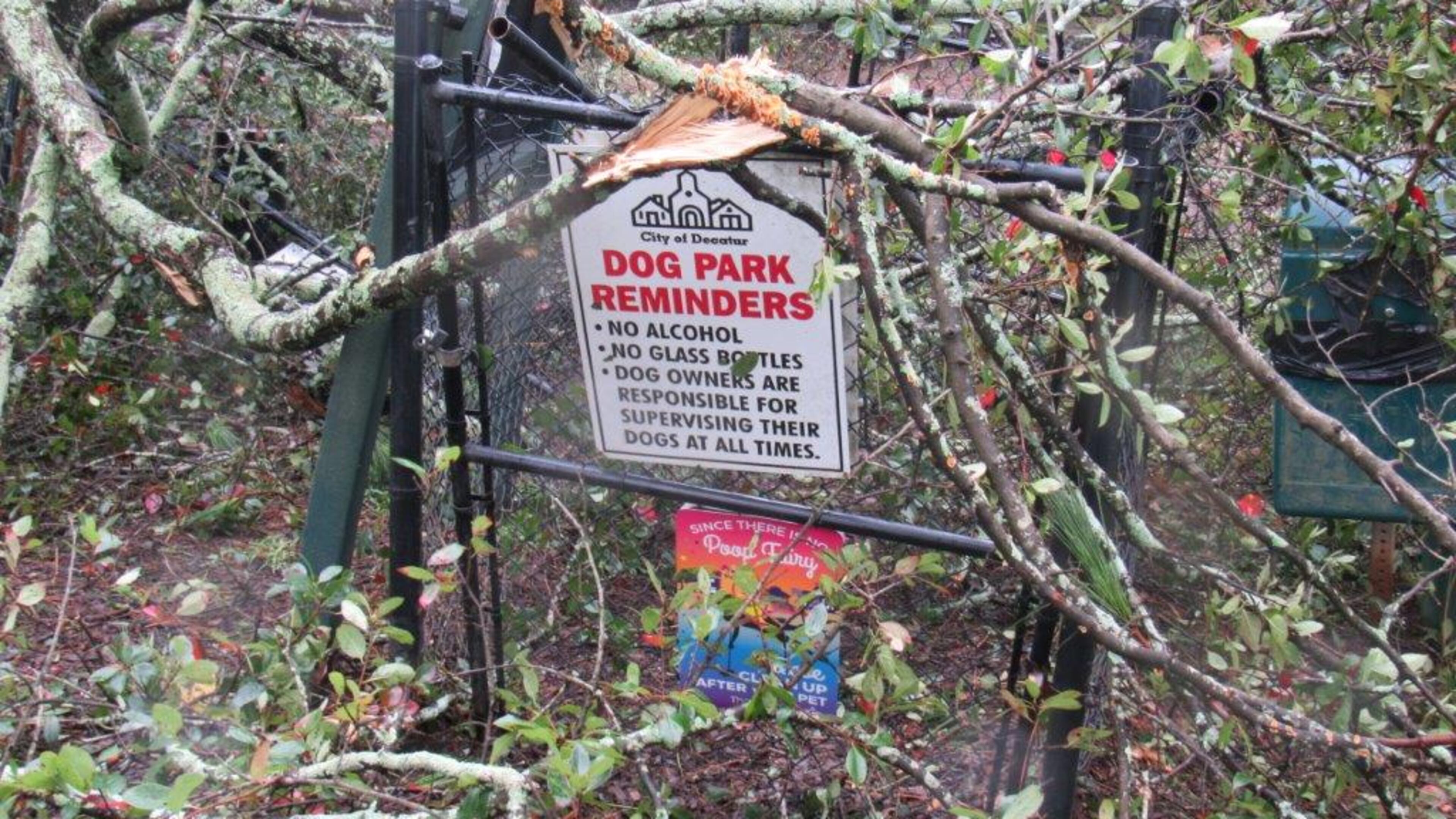 The entry to the Adair Dog Park in Decatur, where four trees are down and there’s extensive damage to fencing, as seen here Thursday. For now the park remains open. Courtesy of Greg White.