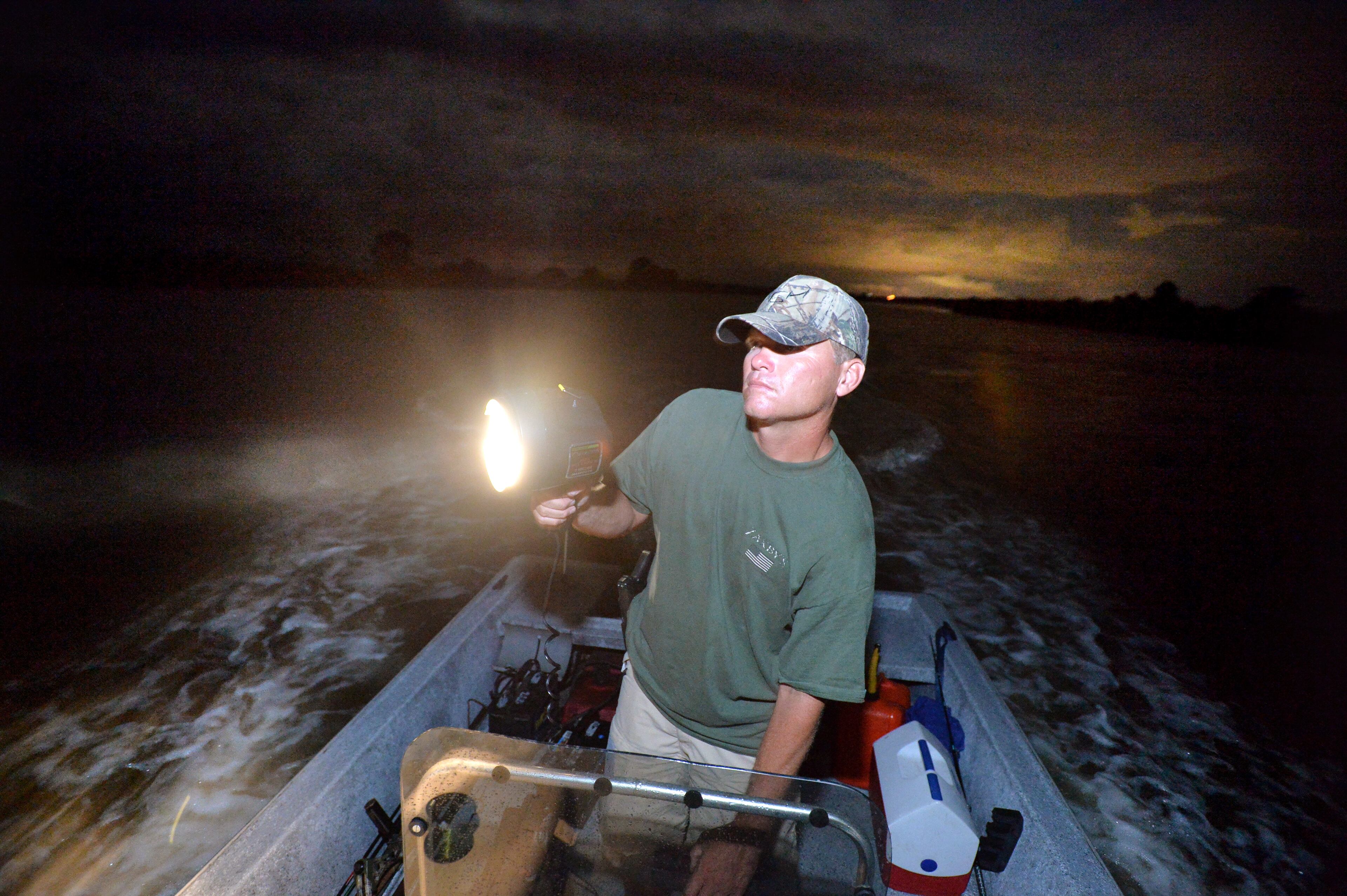 Gator hunter Jim Gillis searches with a spotlight in Darien on Saturday night, September 6, 2014. Georgia's alligator season runs Sept. 6 through Oct. 5, and it's no easy ticket. More than 11,000 people applied last year, with the state only offering 850 slots. The state considers its abundance of alligators to be one of its conservation success stories. Alligators were once listed as endangered because of poaching and encroaching development on their habitat, but wildlife management efforts helped them come back enough to be downlisted in 1987. HYOSUB SHIN / HSHIN@AJC.COM