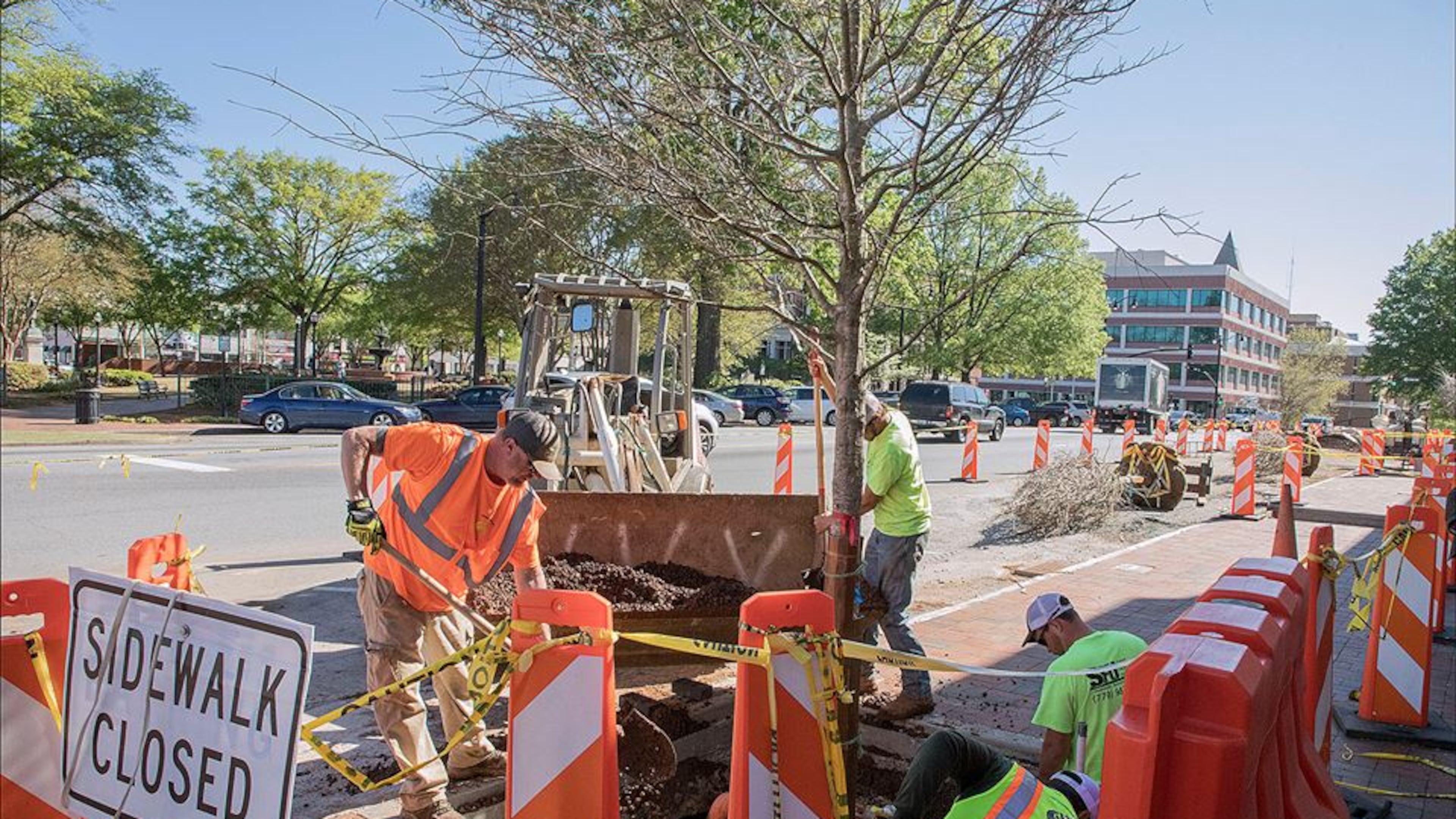 Crews installed six new trees along South Park on Marietta Square as part of an improvement project. Repaving on South Park will begin April 14.