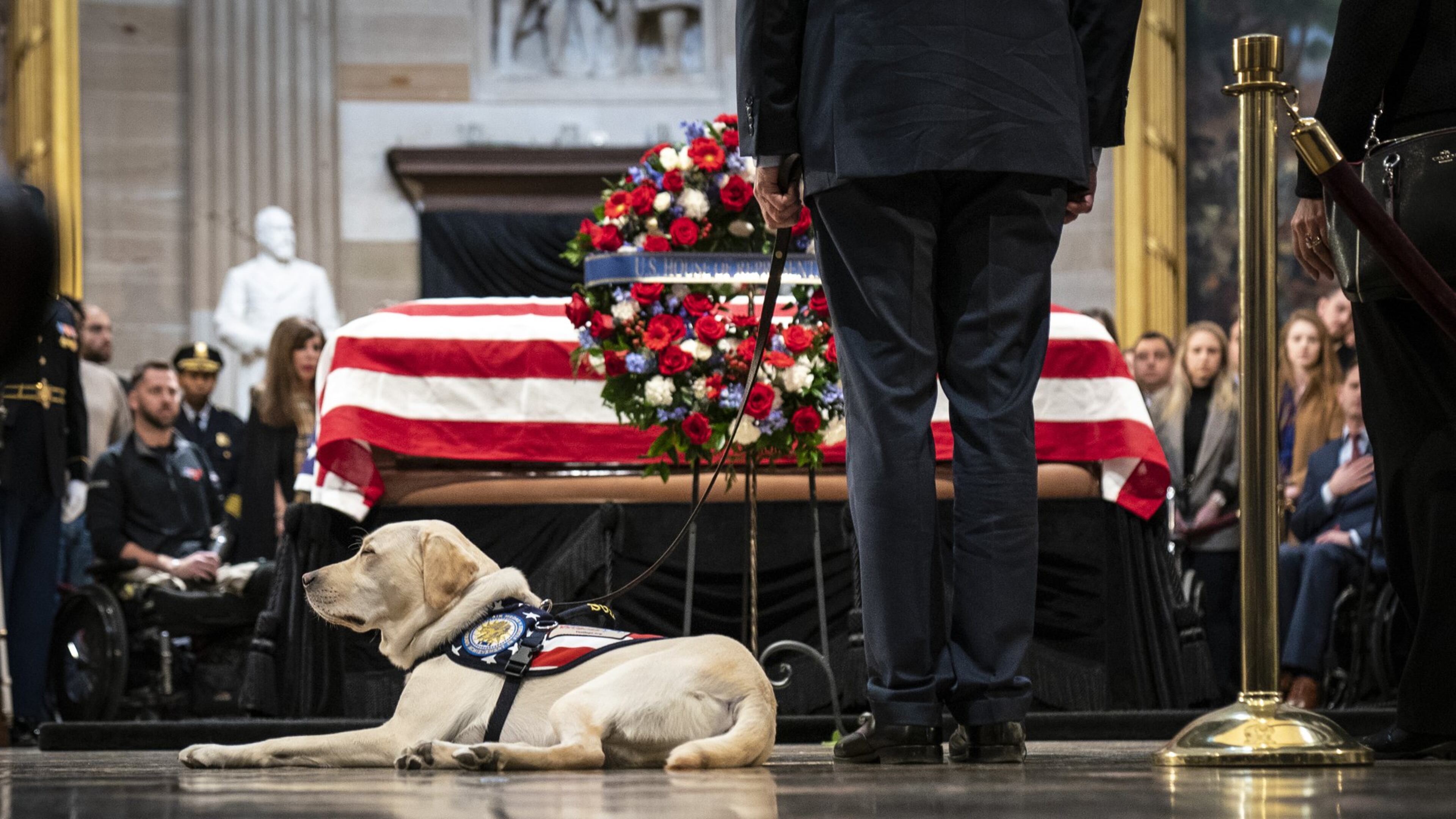 Sully, a yellow Labrador service dog for former President George H.W. Bush, sits near Bush’s casket as he lies in state at the U.S. Capitol on Dec. 4, 2018, in Washington. DREW ANGERER / GETTY IMAGES