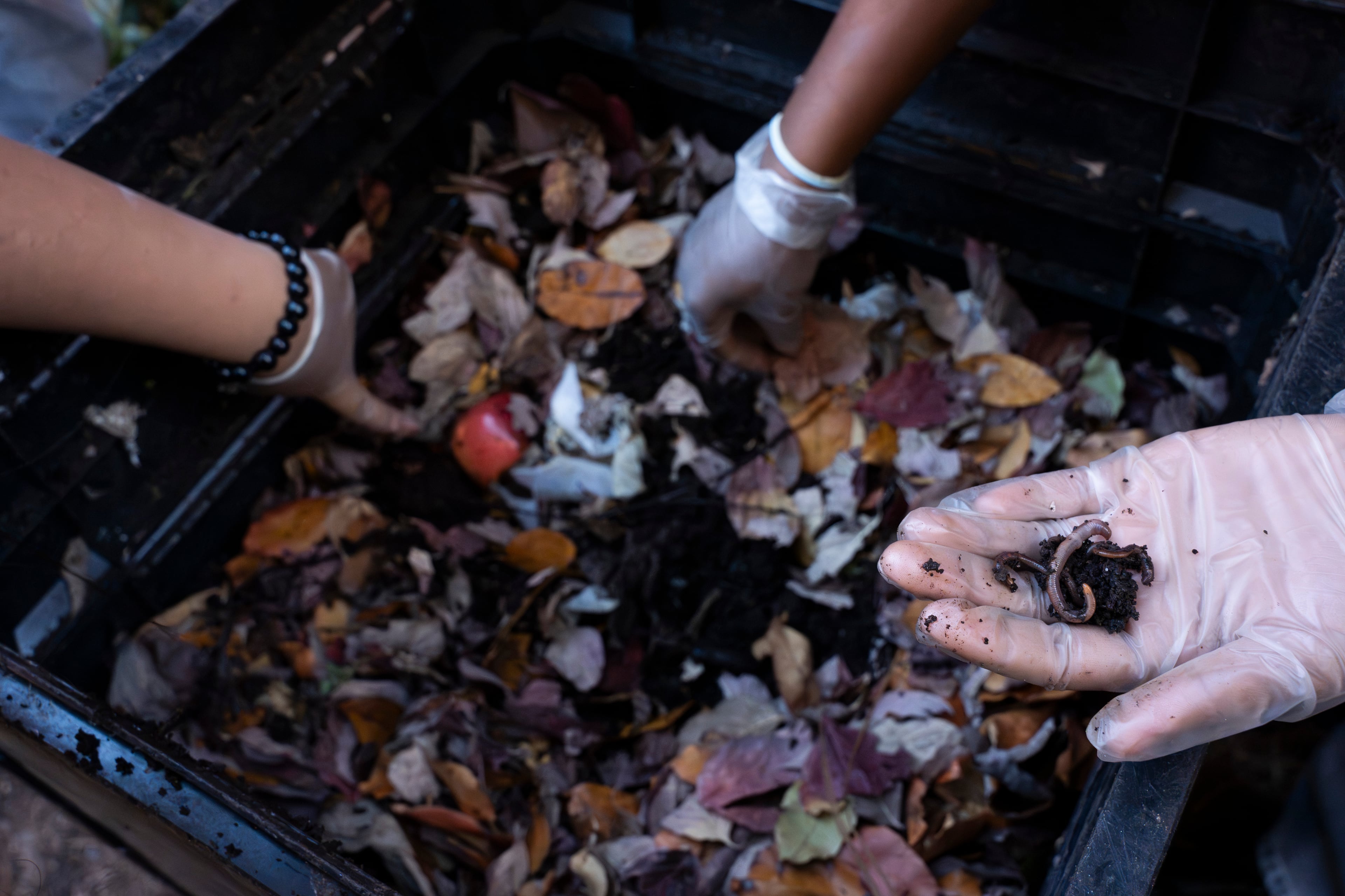 Marietta Middle School seventh graders Addelynn Covingtree, Yadajah Gresham and Elissa Ramirez search for worms as they create compost for their school garden on Monday, Nov. 17, 2025. (Olivia Bowdoin for the AJC)