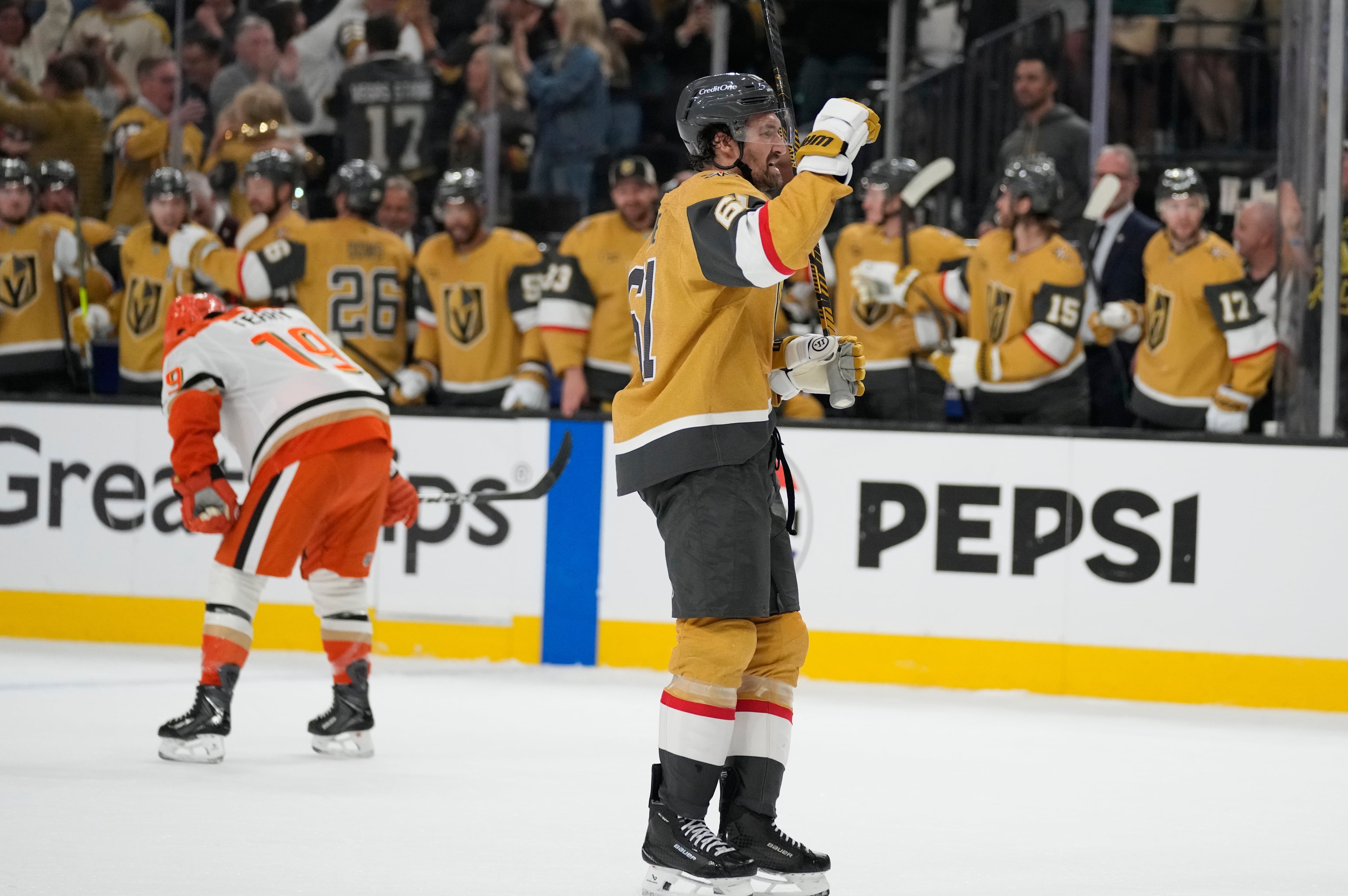 Ducks Golden Knights Hockey